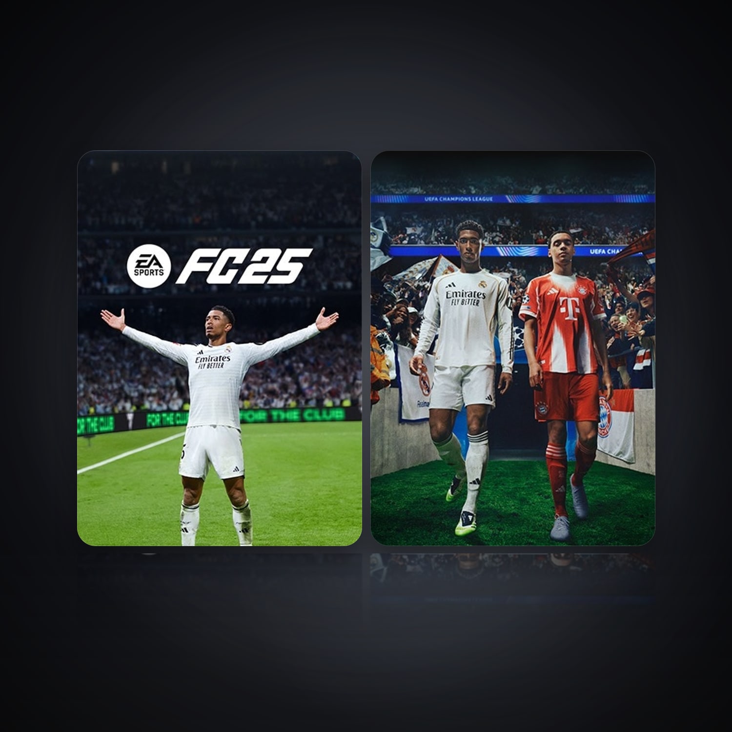 Dragon Age 2 & EA SPORTS FC 25 | 3 Games — HabibiAccounts