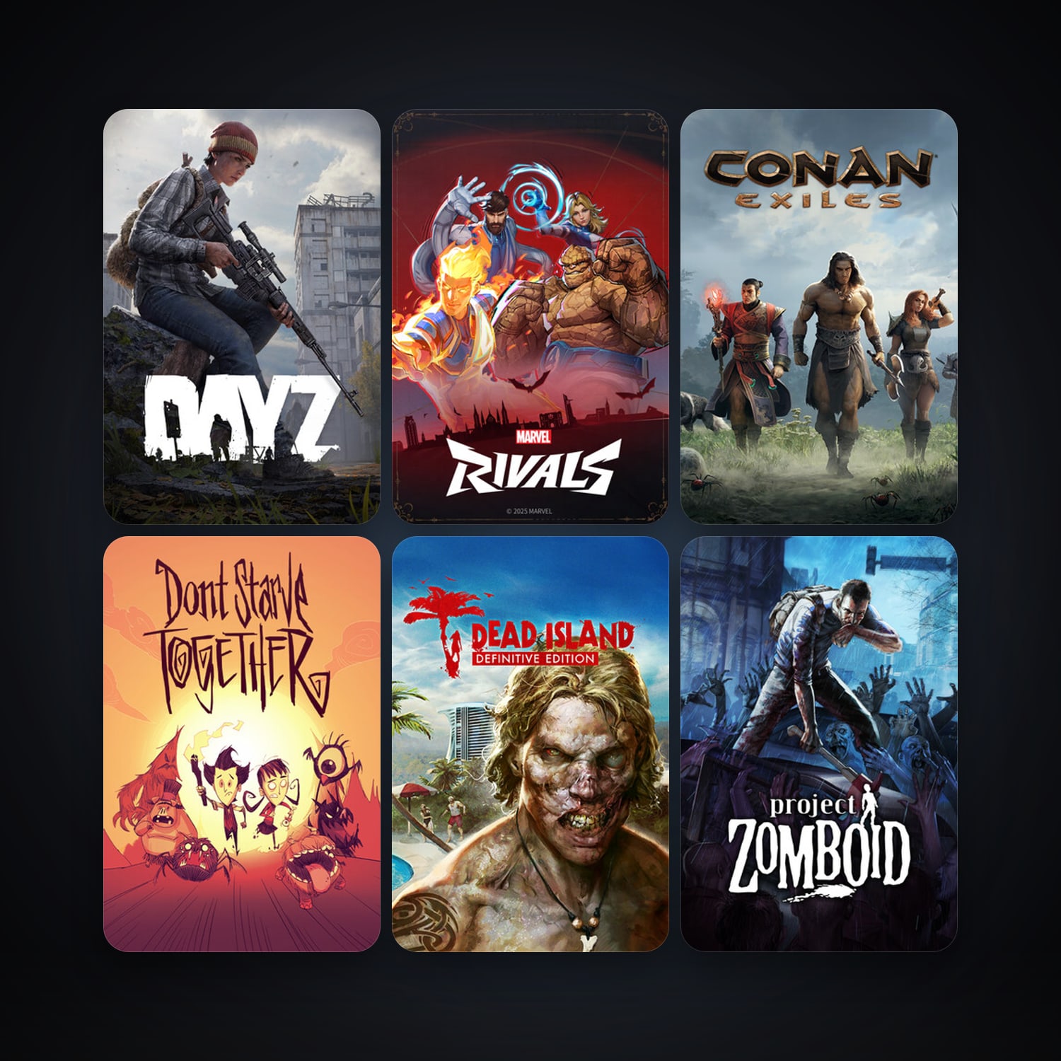 Project Zomboid + DayZ, 15 games, clean — HabibiAccounts