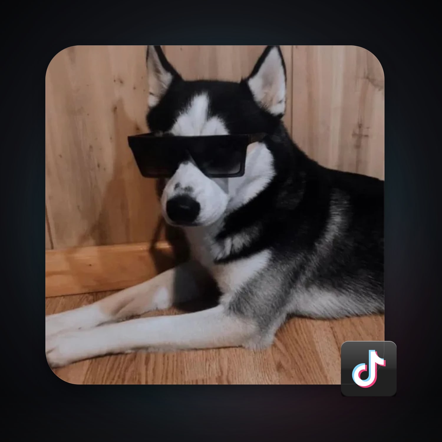 TikTok 12 followers — HabibiAccounts