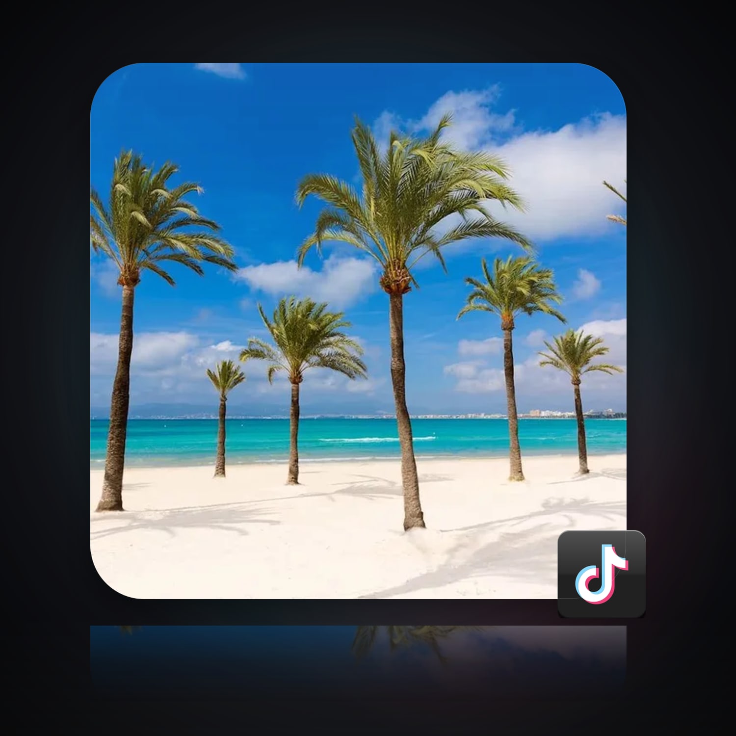 TikTok | 736 Followers — HabibiAccounts