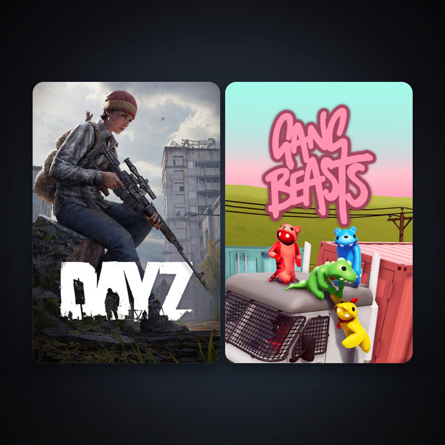 DayZ + Gang Beasts, 3 games, clean — HabibiAccounts