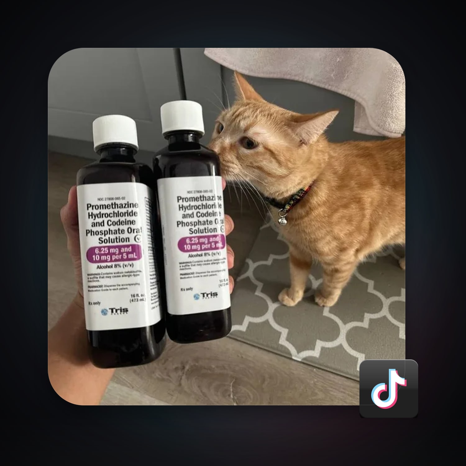 TikTok 22 followers — HabibiAccounts