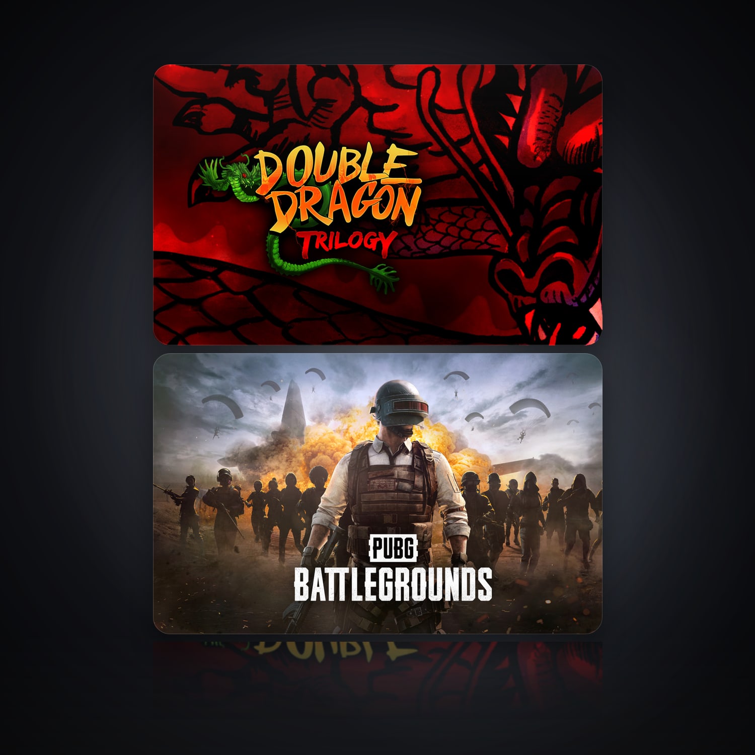 Double Dragon Trilogy & PUBG: BATTLEGROUNDS | 2 Games — HabibiAccounts