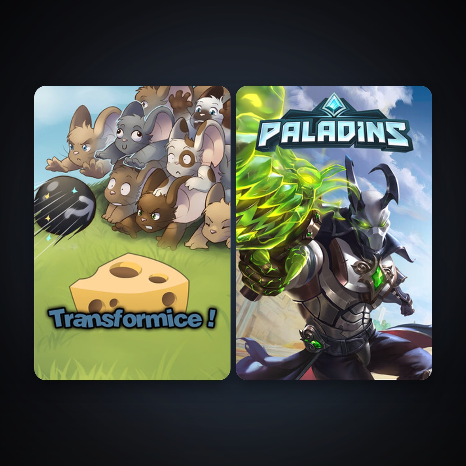 Transformice & Paladins — HabibiAccounts
