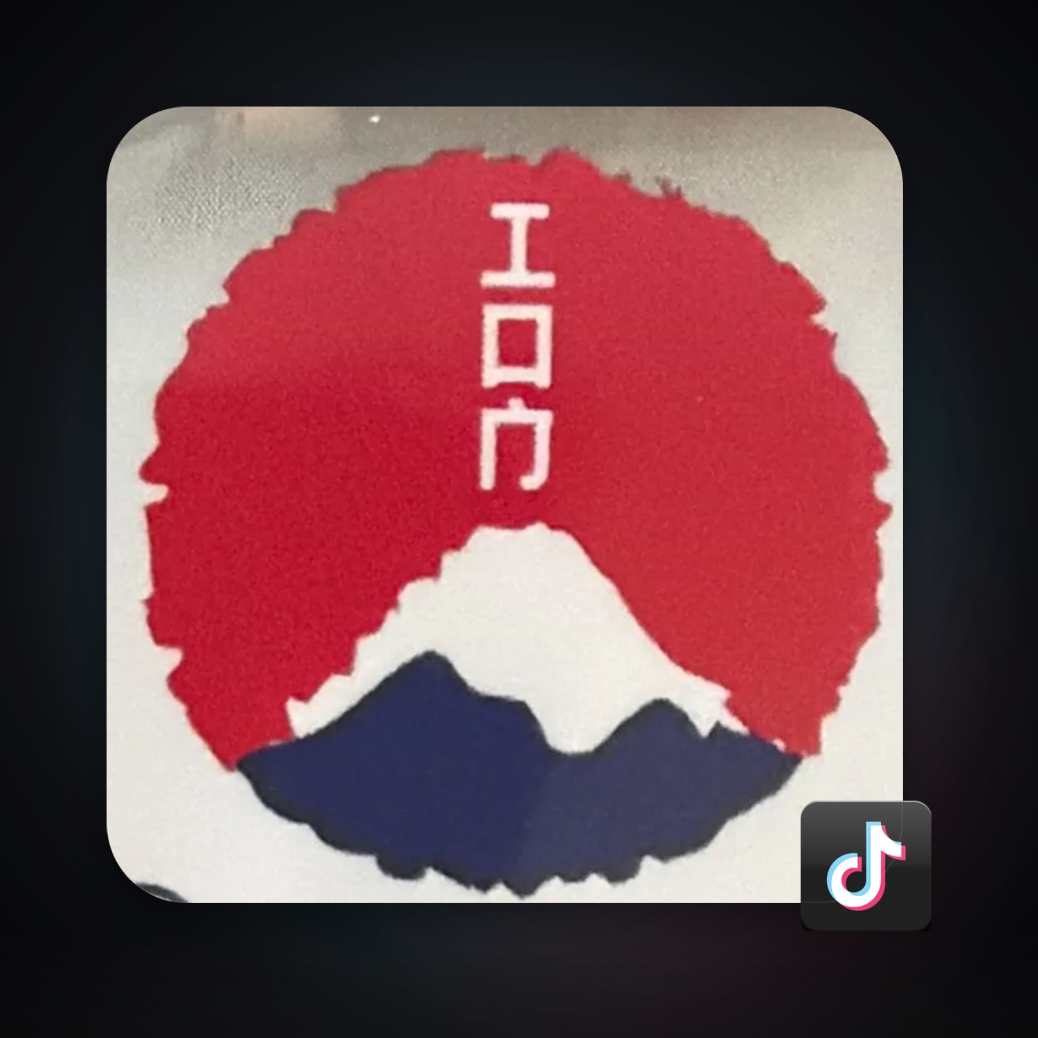 TikTok 437 followers — HabibiAccounts