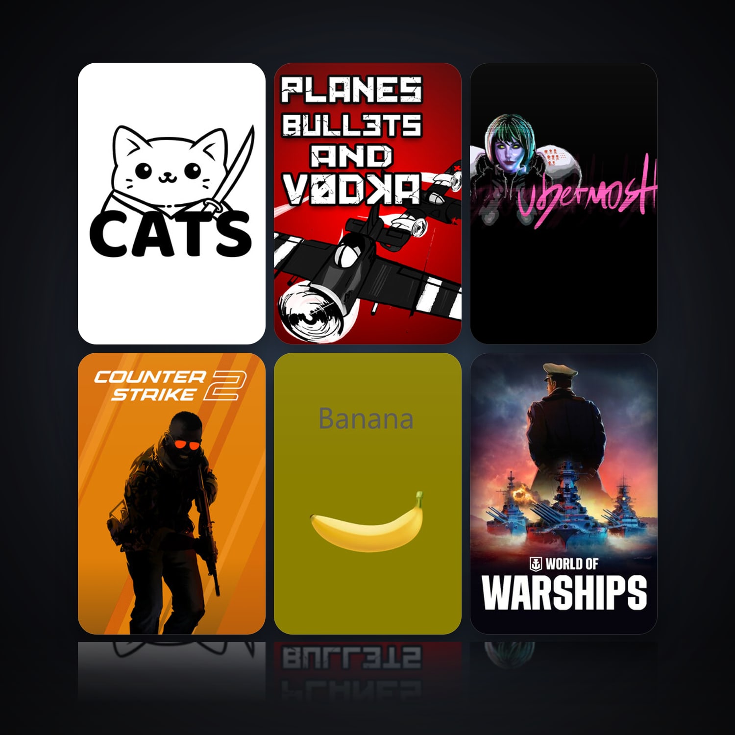 Cats & Planes, Bullets and Vodka | 30 Games | Has VAC — HabibiAccounts