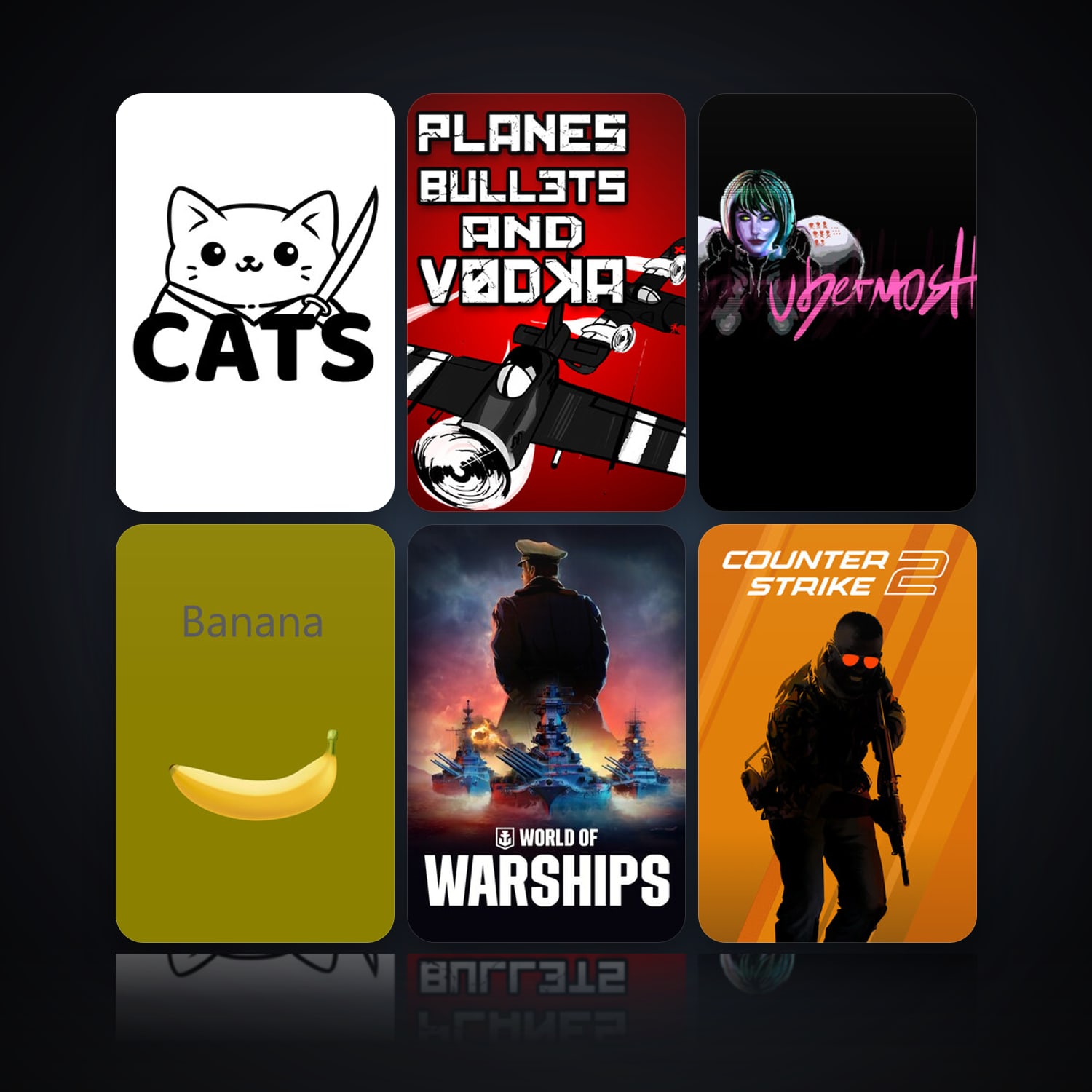 Cats & Planes, Bullets and Vodka | 30 Games | Has VAC — HabibiAccounts