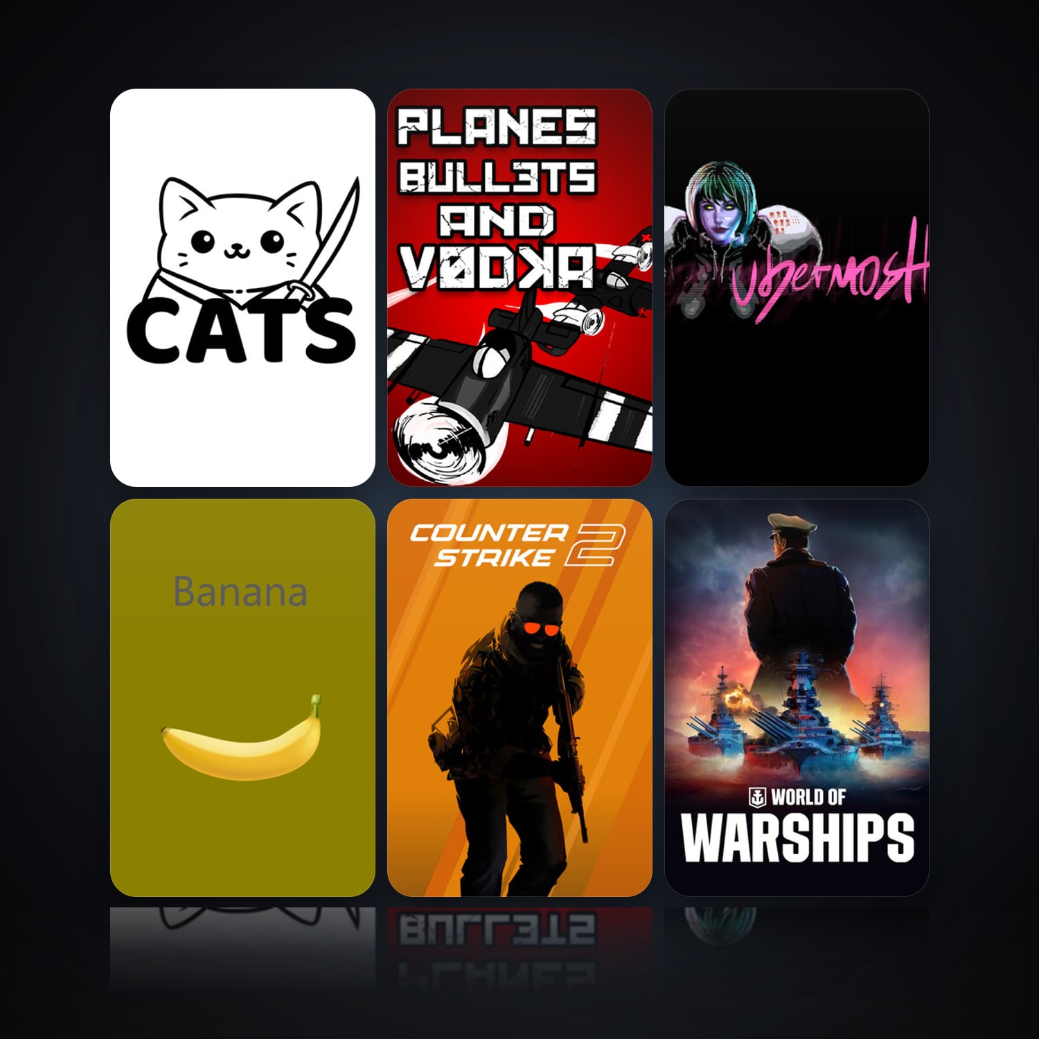 Cats & Planes, Bullets and Vodka | 30 Games | Has VAC — HabibiAccounts