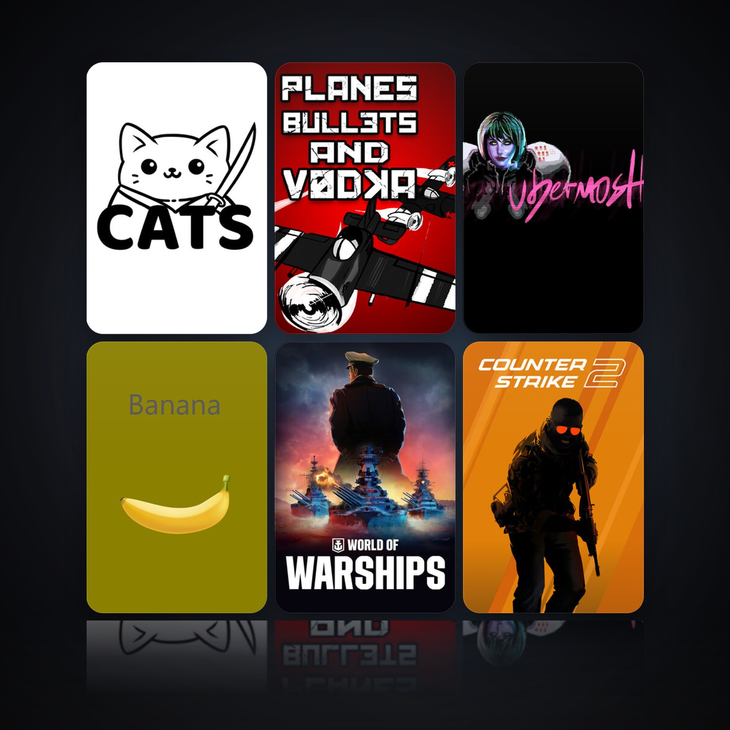 Cats & Planes, Bullets and Vodka | 30 Games | Has VAC — HabibiAccounts