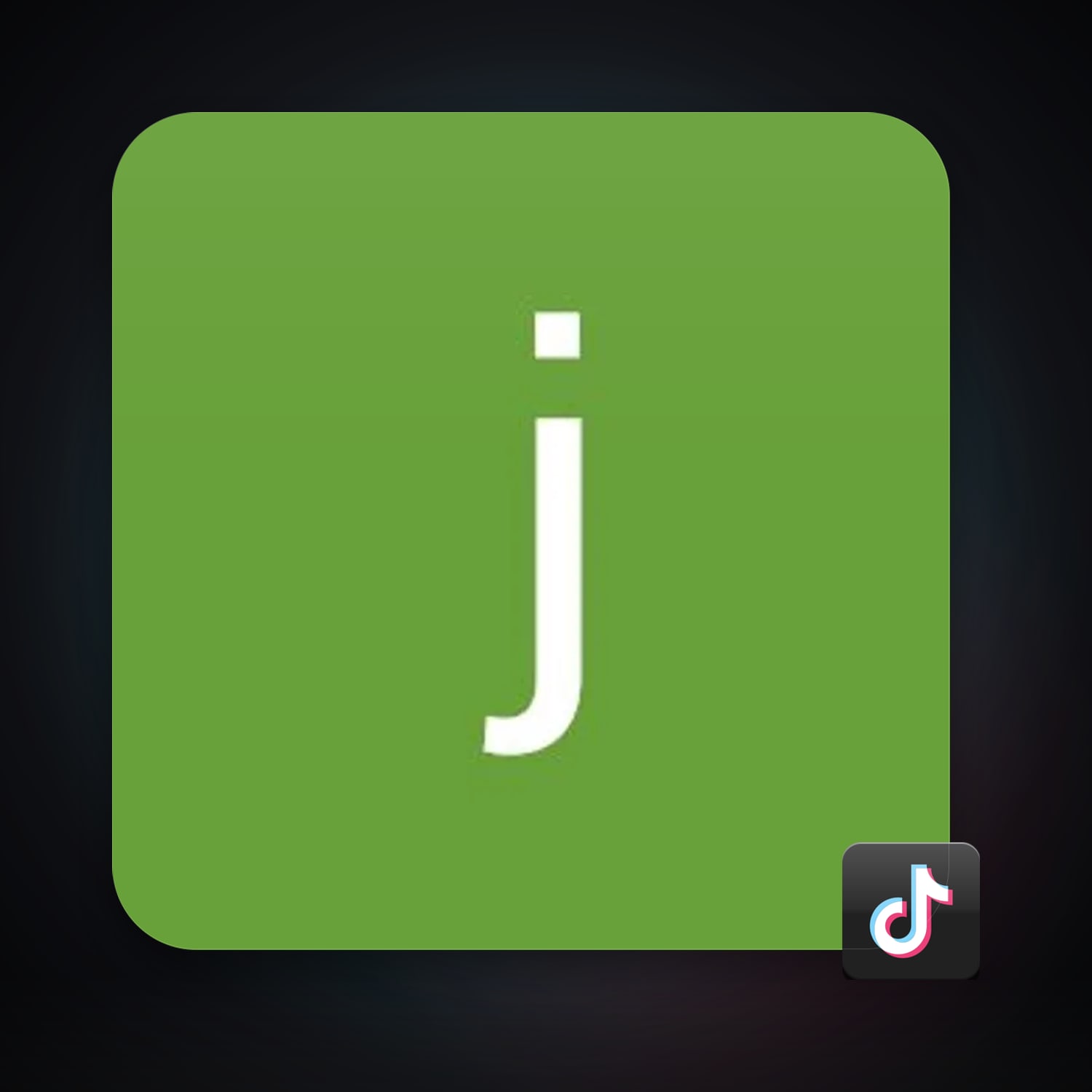 TikTok — HabibiAccounts