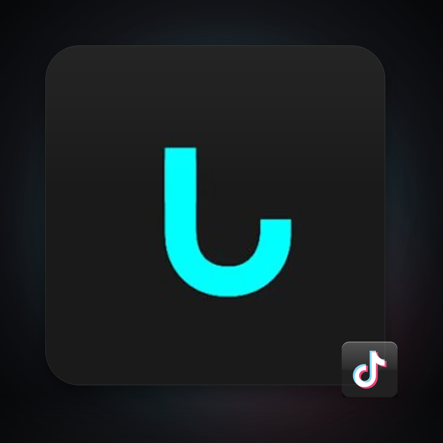 TikTok — HabibiAccounts