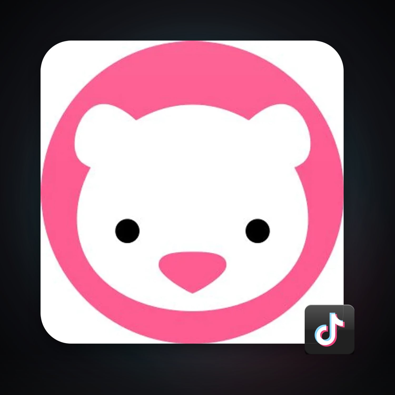 TikTok — HabibiAccounts