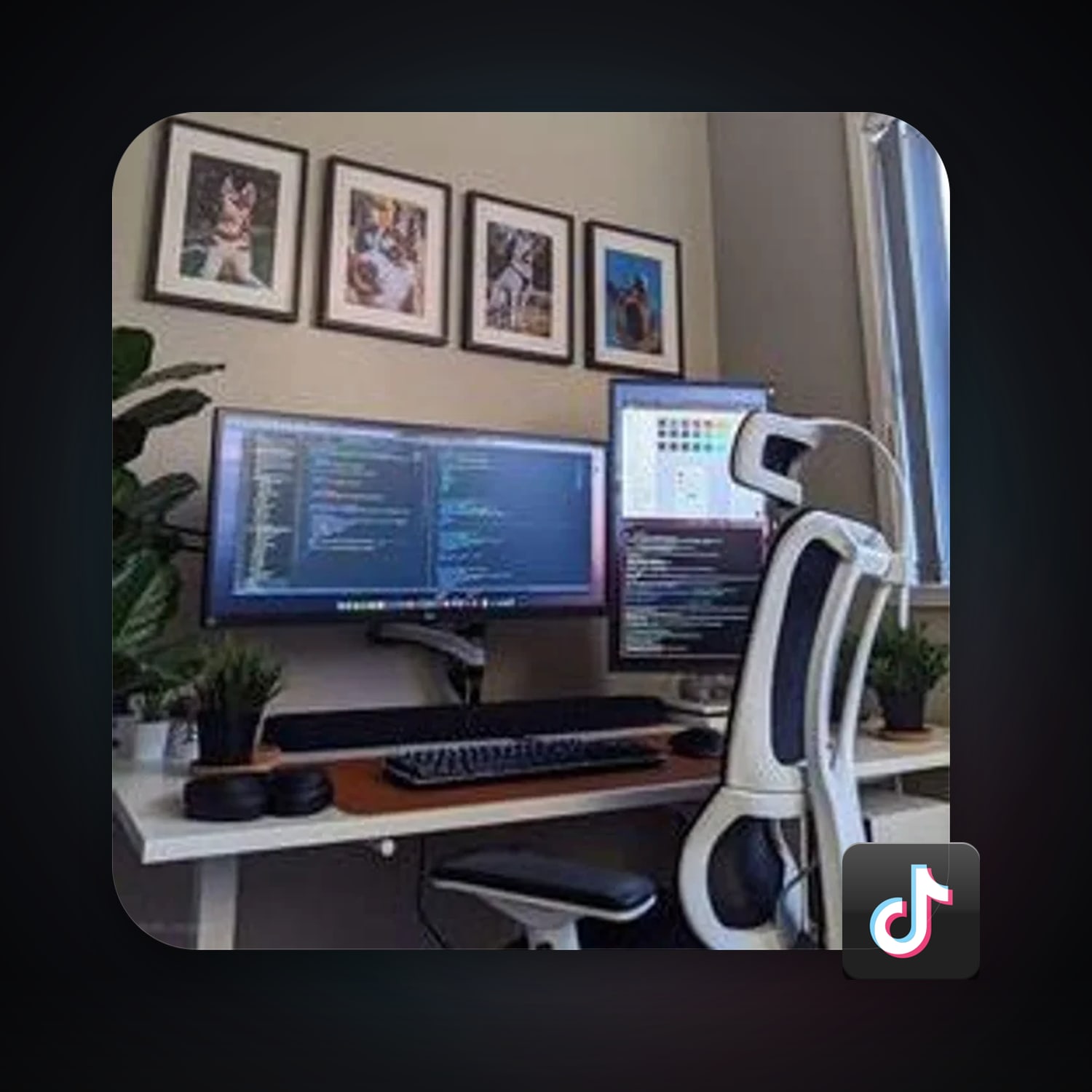 TikTok — HabibiAccounts