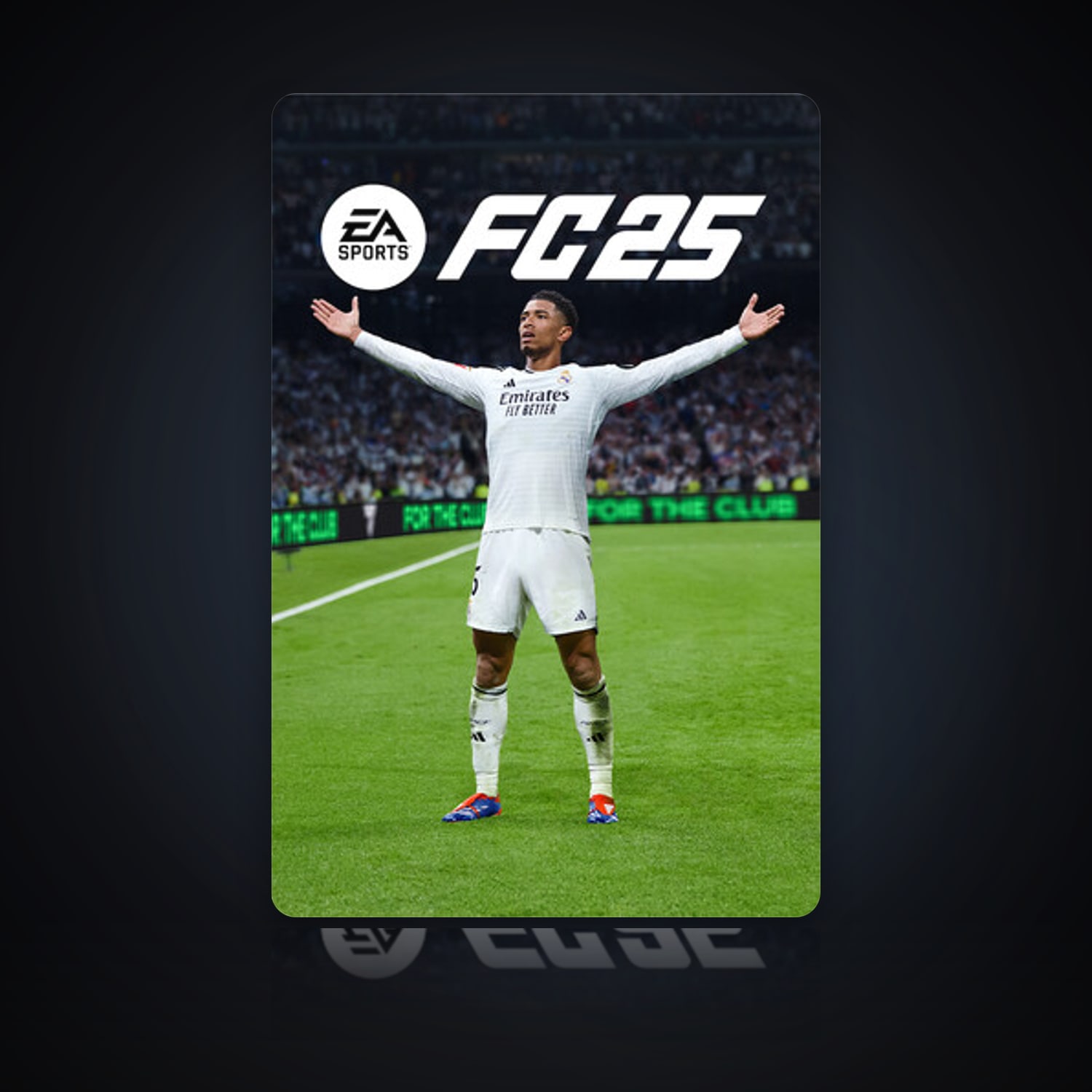 EA SPORTS FC 25 — HabibiAccounts
