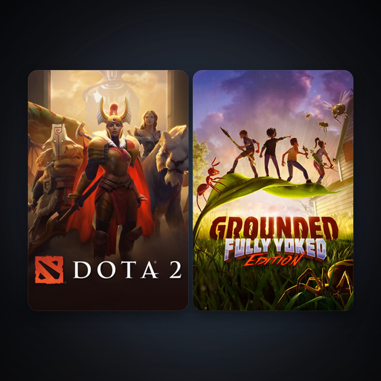 Dota 2 & Grounded — HabibiAccounts