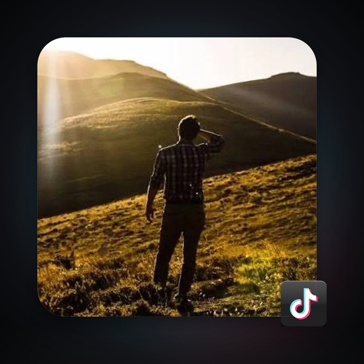 TikTok 23 followers — HabibiAccounts