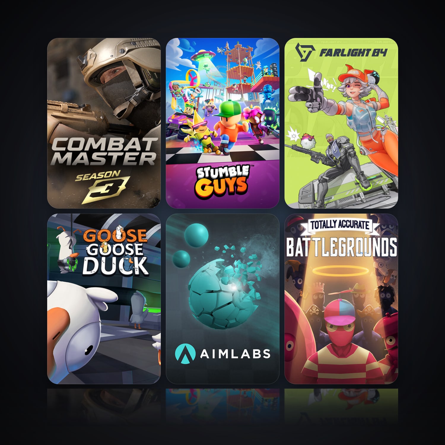 Combat Master: Season 1 & Stumble Guys | 11 Games | Clean — HabibiAccounts