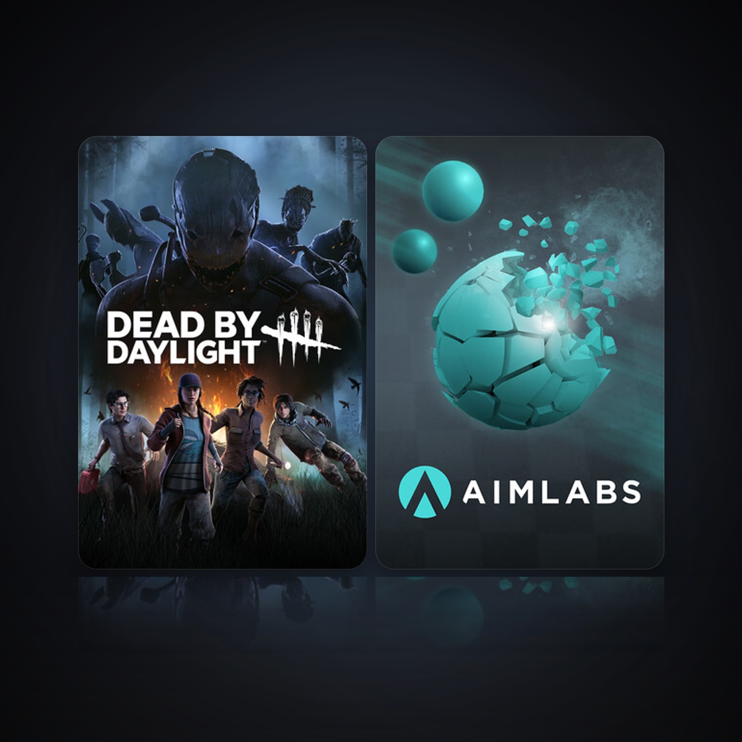 Dead by Daylight & Aimlabs — HabibiAccounts