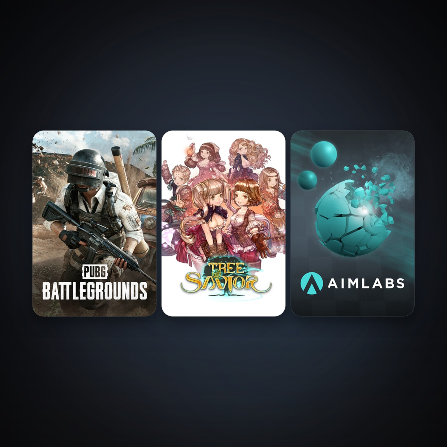 Tree of Savior + PUBG: BATTLEGROUNDS, 5 games, clean — HabibiAccounts