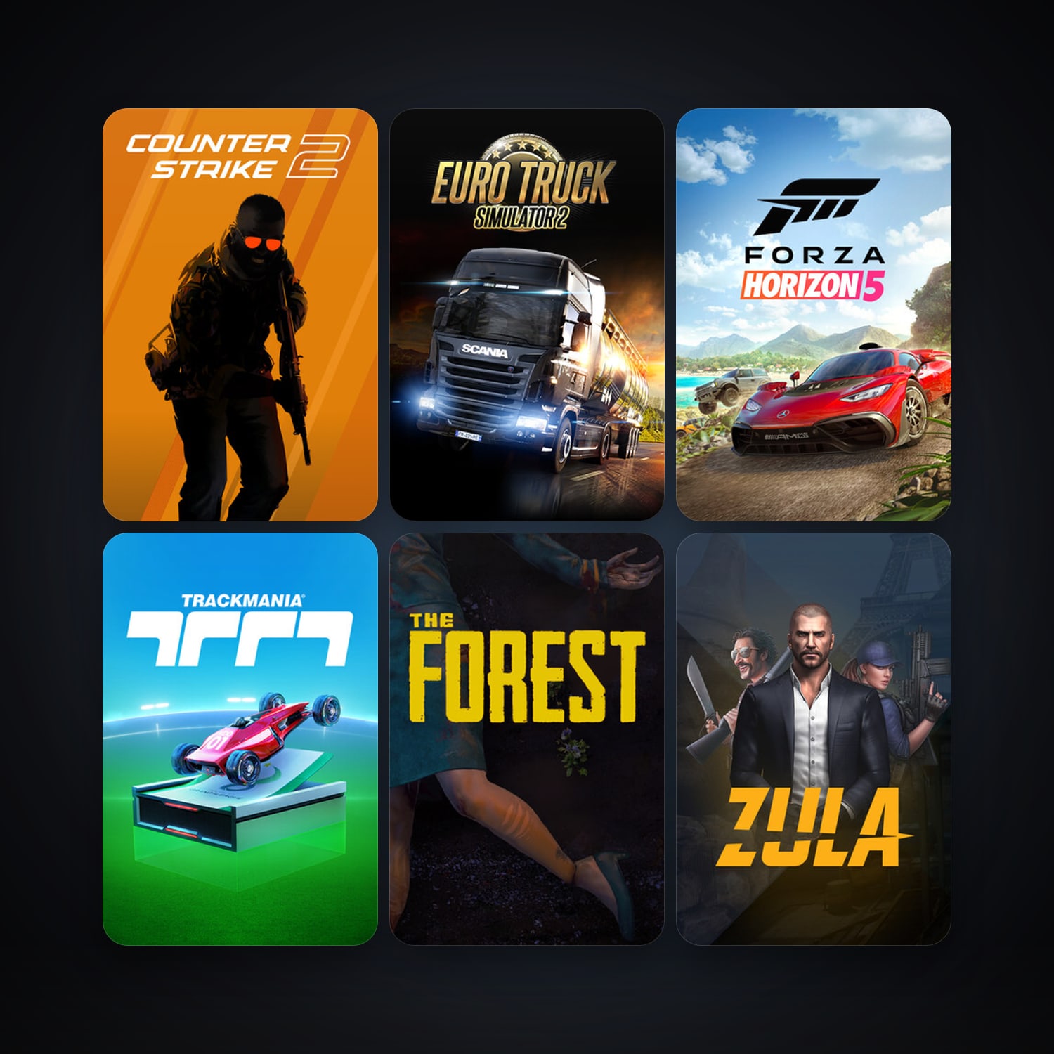 CS2 Prime + Euro Truck Simulator 2, 46 games, Steam 10, clean — HabibiAccounts