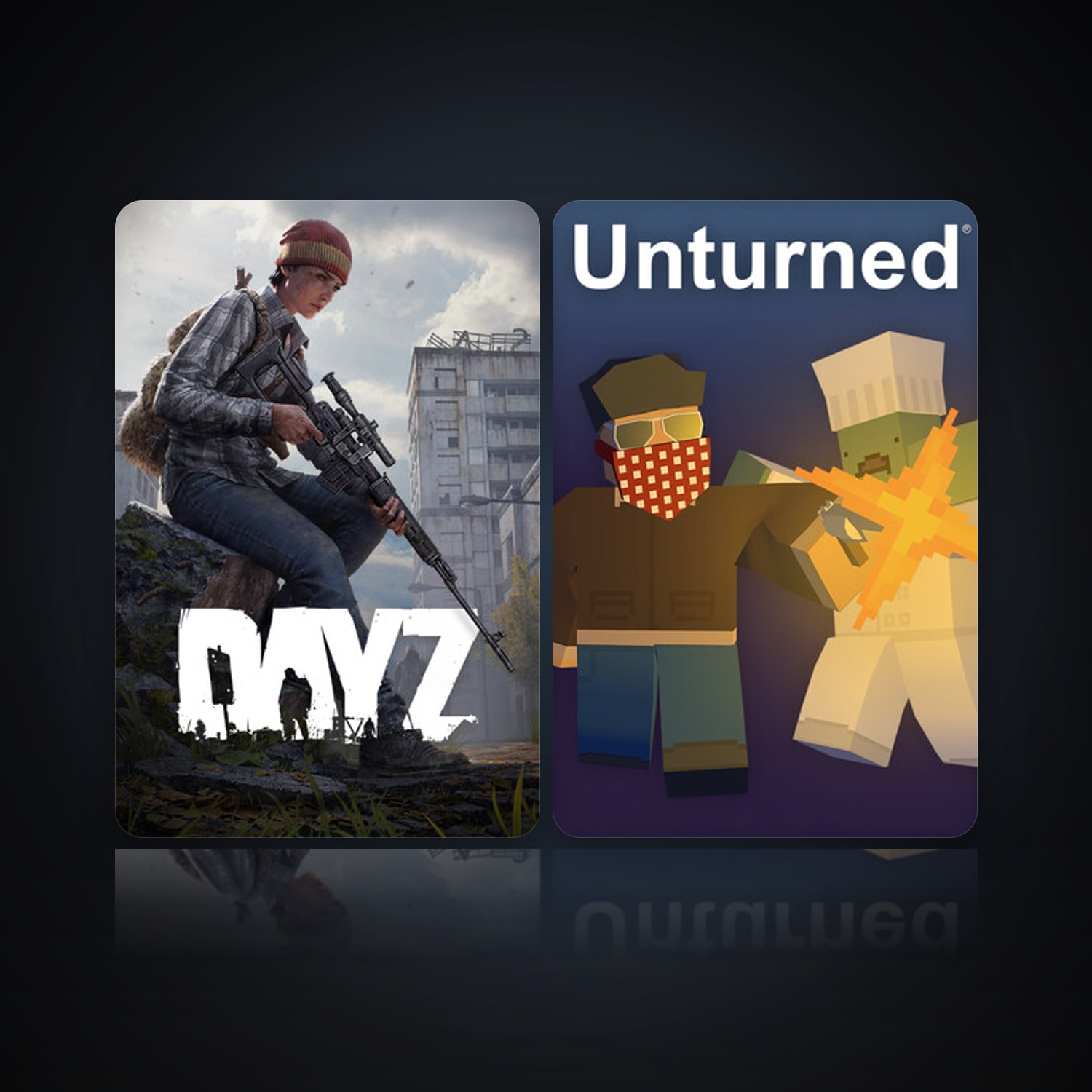DayZ & Unturned — HabibiAccounts