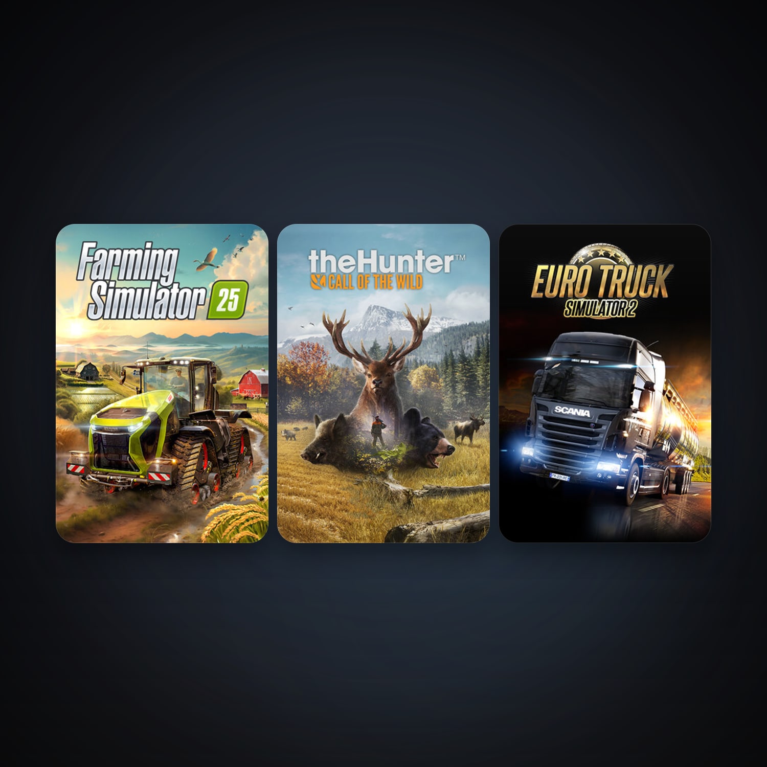 Euro Truck Simulator 2 + theHunter: Call of the Wild, 3 games, clean — HabibiAccounts