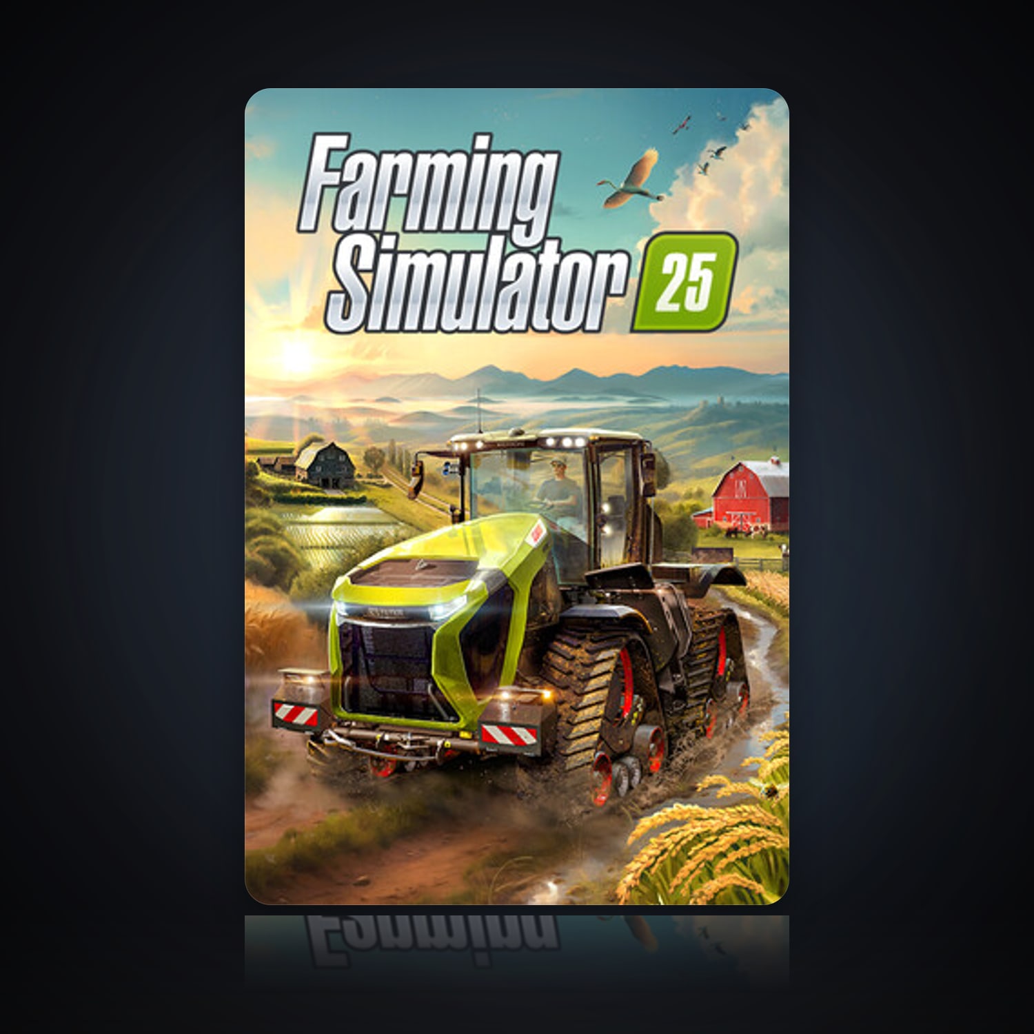 Farming Simulator 25 — HabibiAccounts