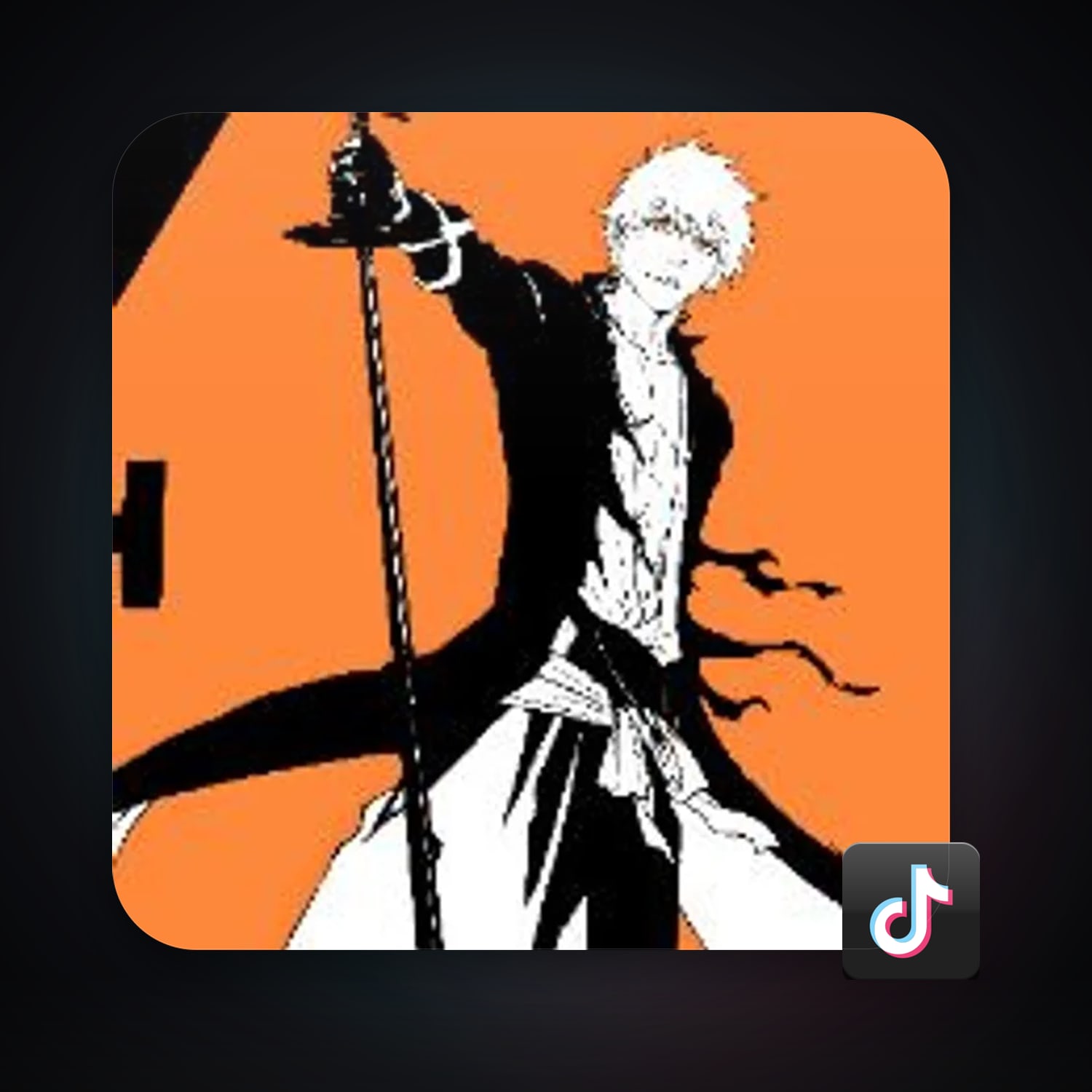 TikTok Account — HabibiAccounts