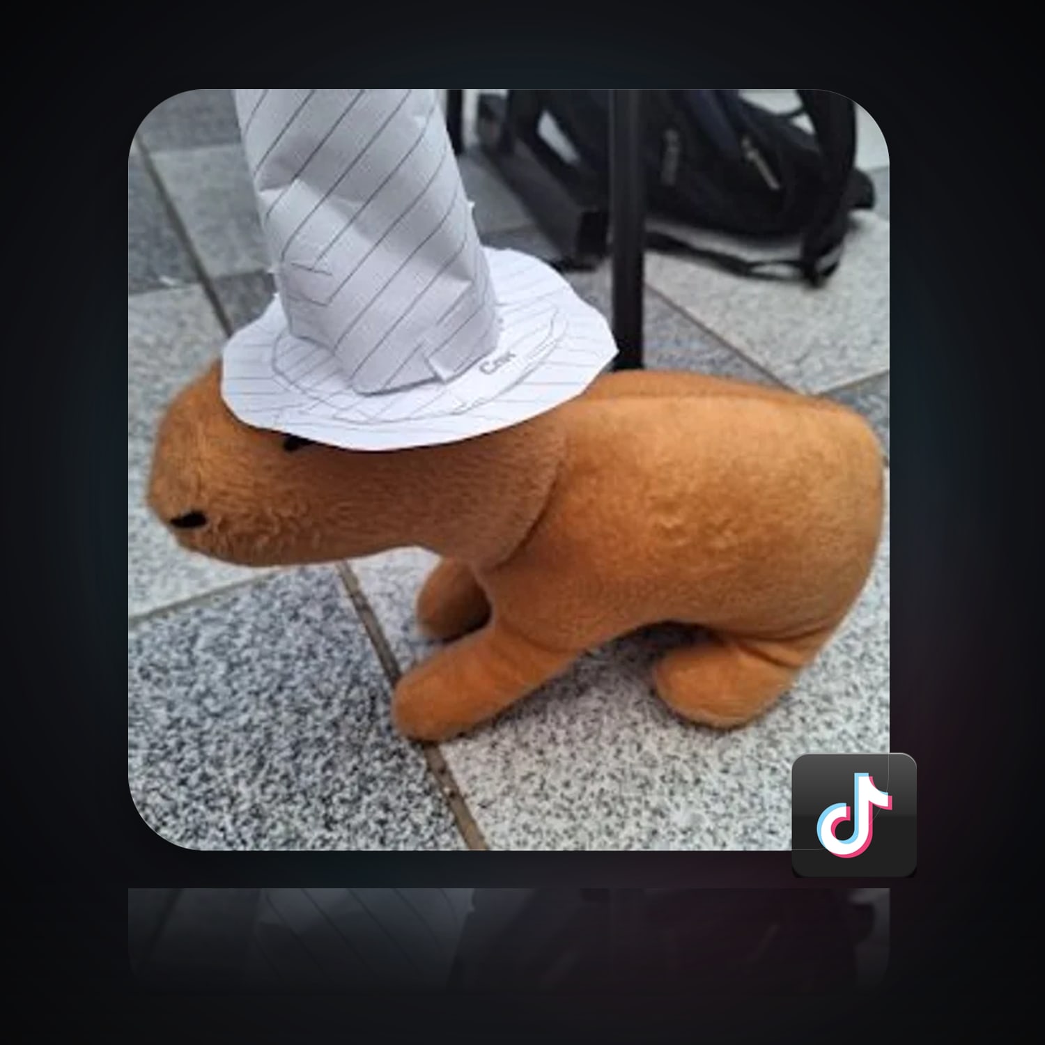 TikTok Account — HabibiAccounts