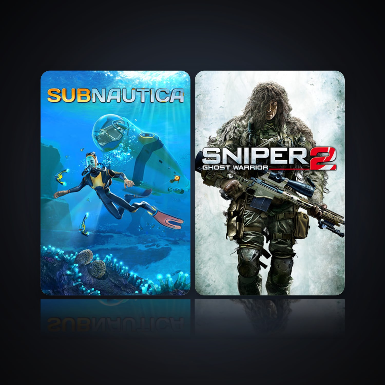 Subnautica & Sniper: Ghost Warrior 2 | Clean — HabibiAccounts