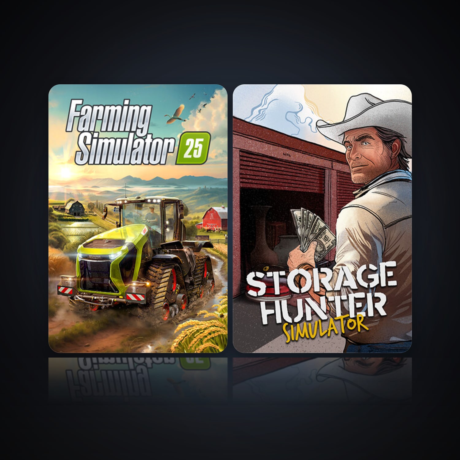 Farming Simulator 25 & Storage Hunter Simulator — HabibiAccounts