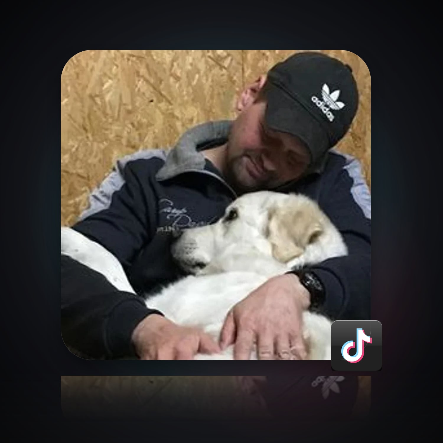 تيك توك | 233 متابع — HabibiAccounts
