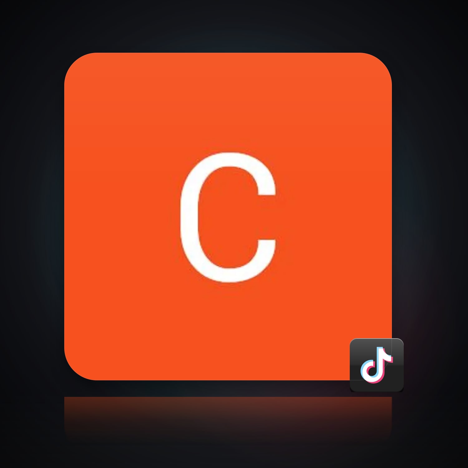 TikTok Account — HabibiAccounts