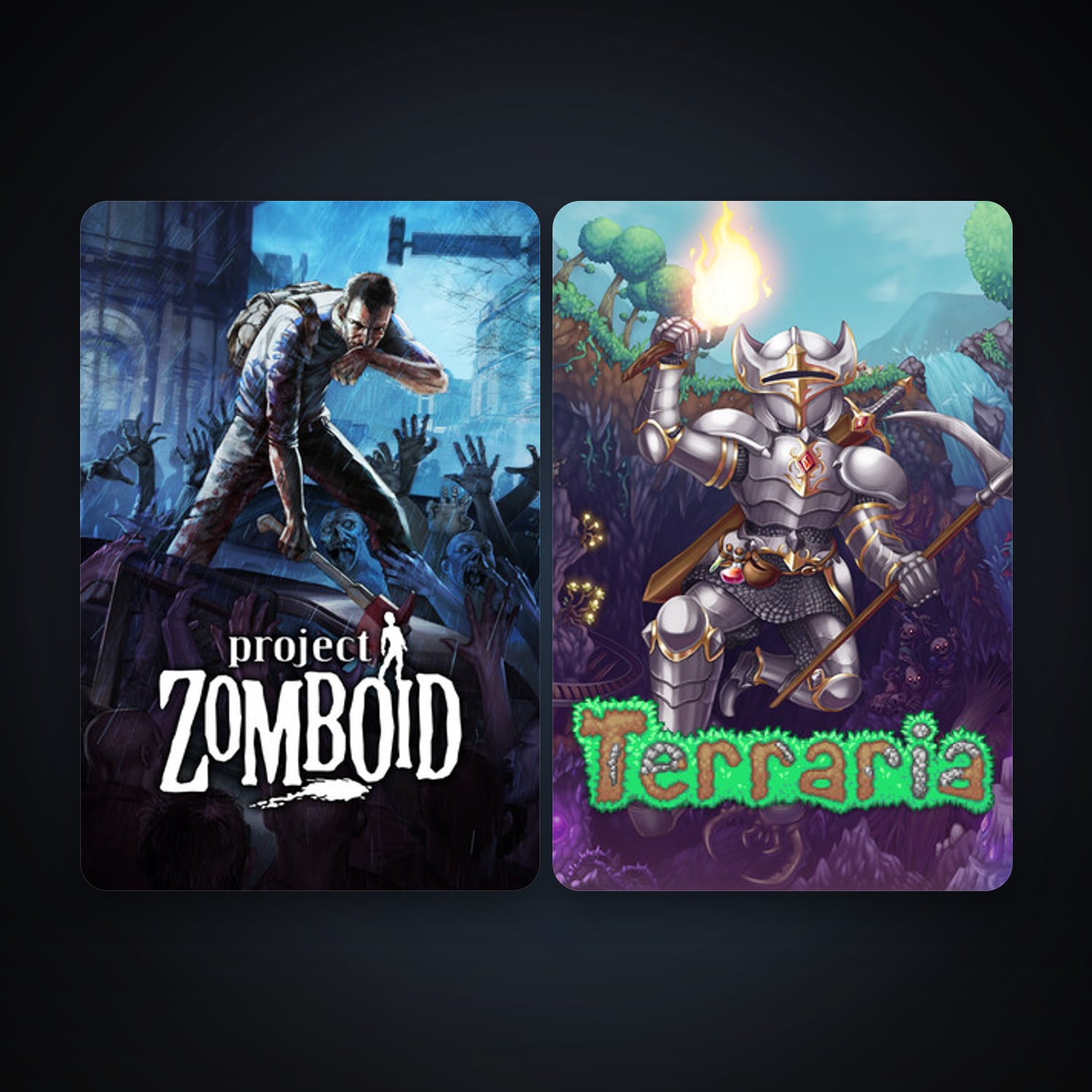 Project Zomboid & Terraria — HabibiAccounts