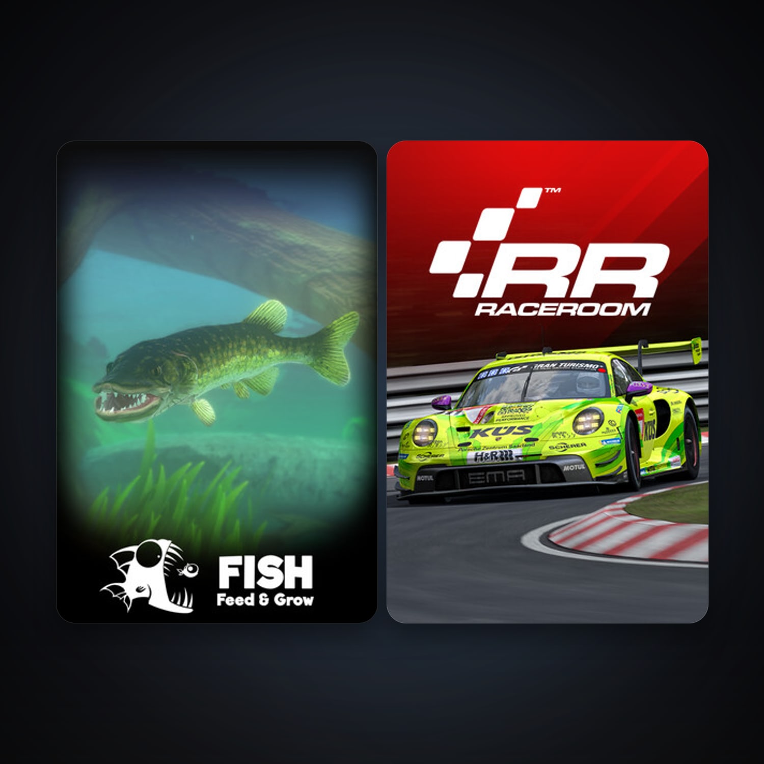 RaceRoom Racing Experience + Feed and Grow: Fish, 6 games, clean — HabibiAccounts