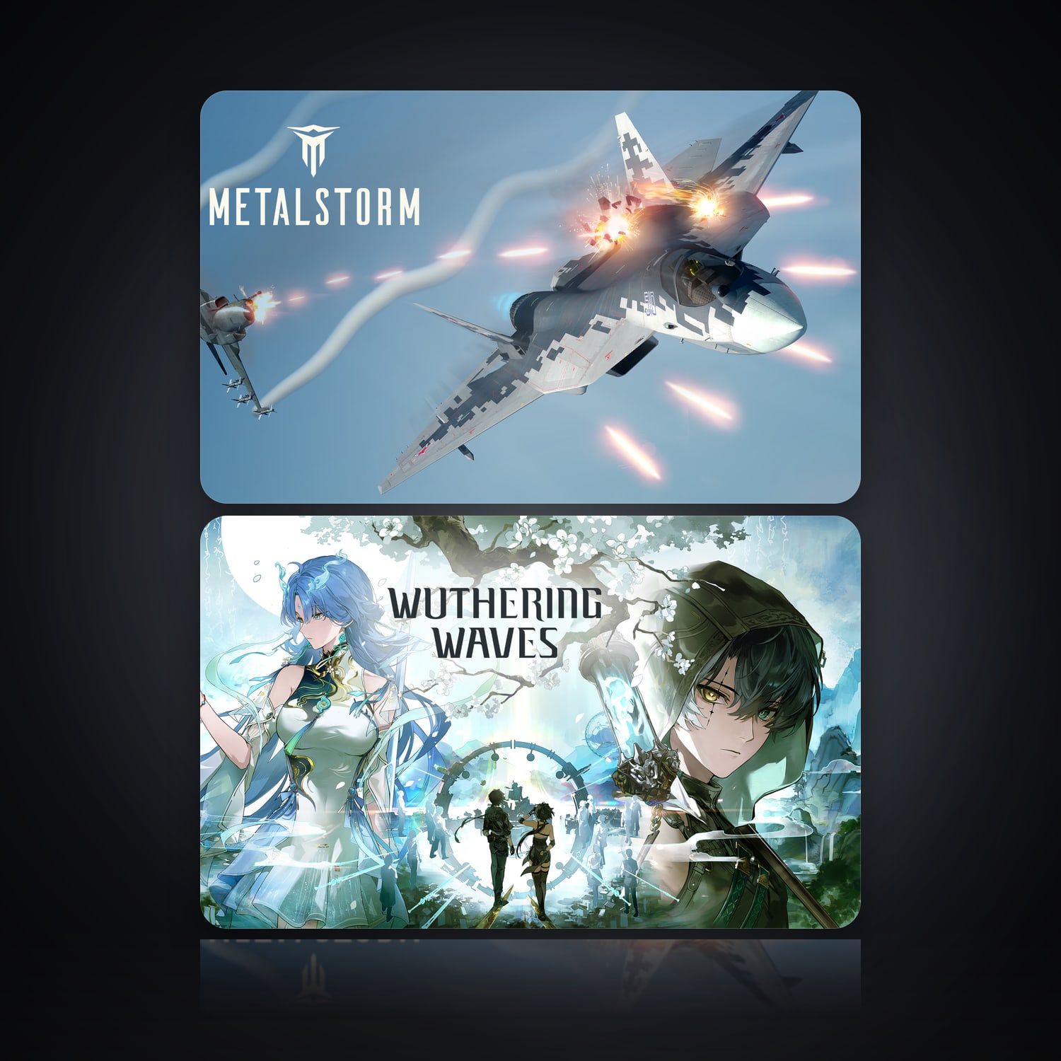 Metalstorm & Wuthering Waves | 2 Games — HabibiAccounts
