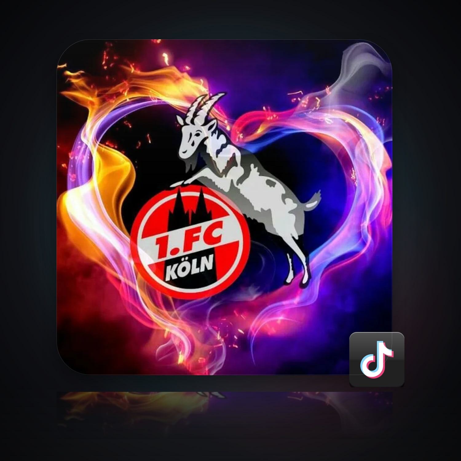 TikTok Account — HabibiAccounts