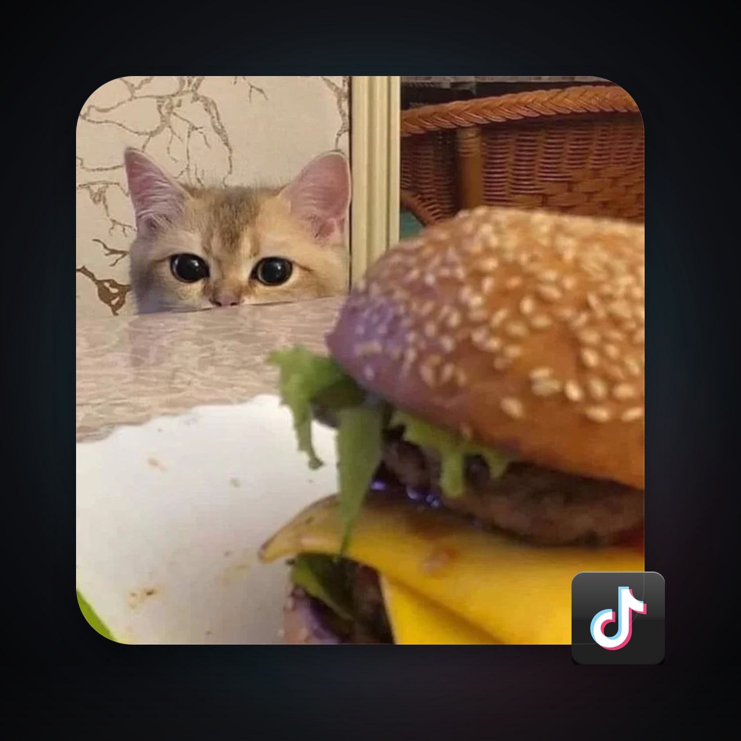 TikTok 5 followers — HabibiAccounts