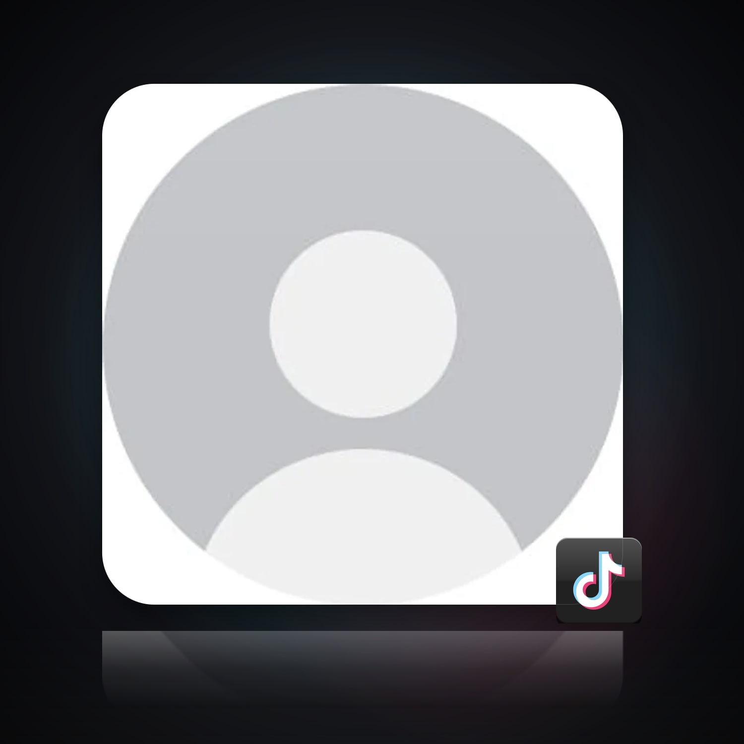 TikTok Account — HabibiAccounts