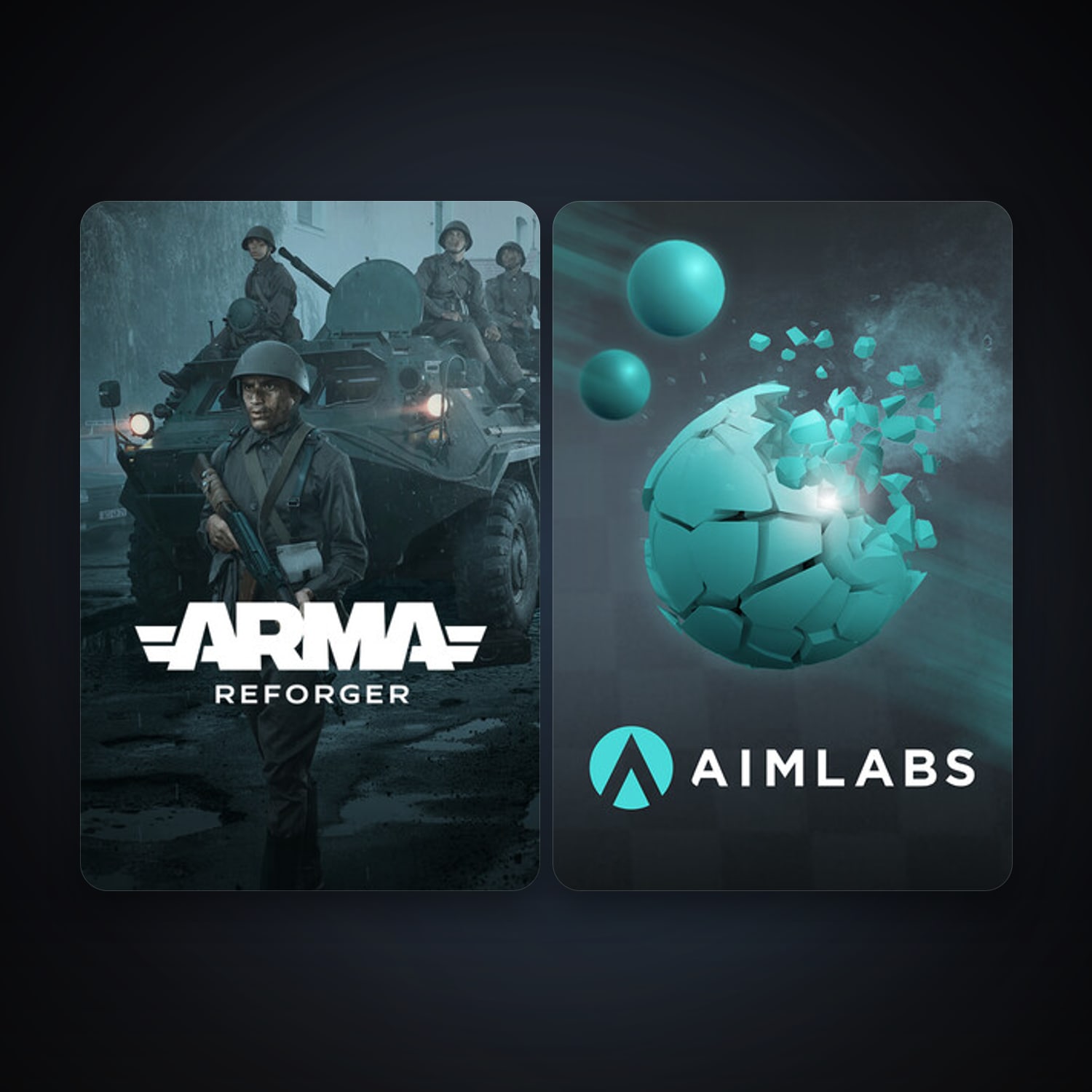 Arma Reforger & Aimlabs | Clean — HabibiAccounts