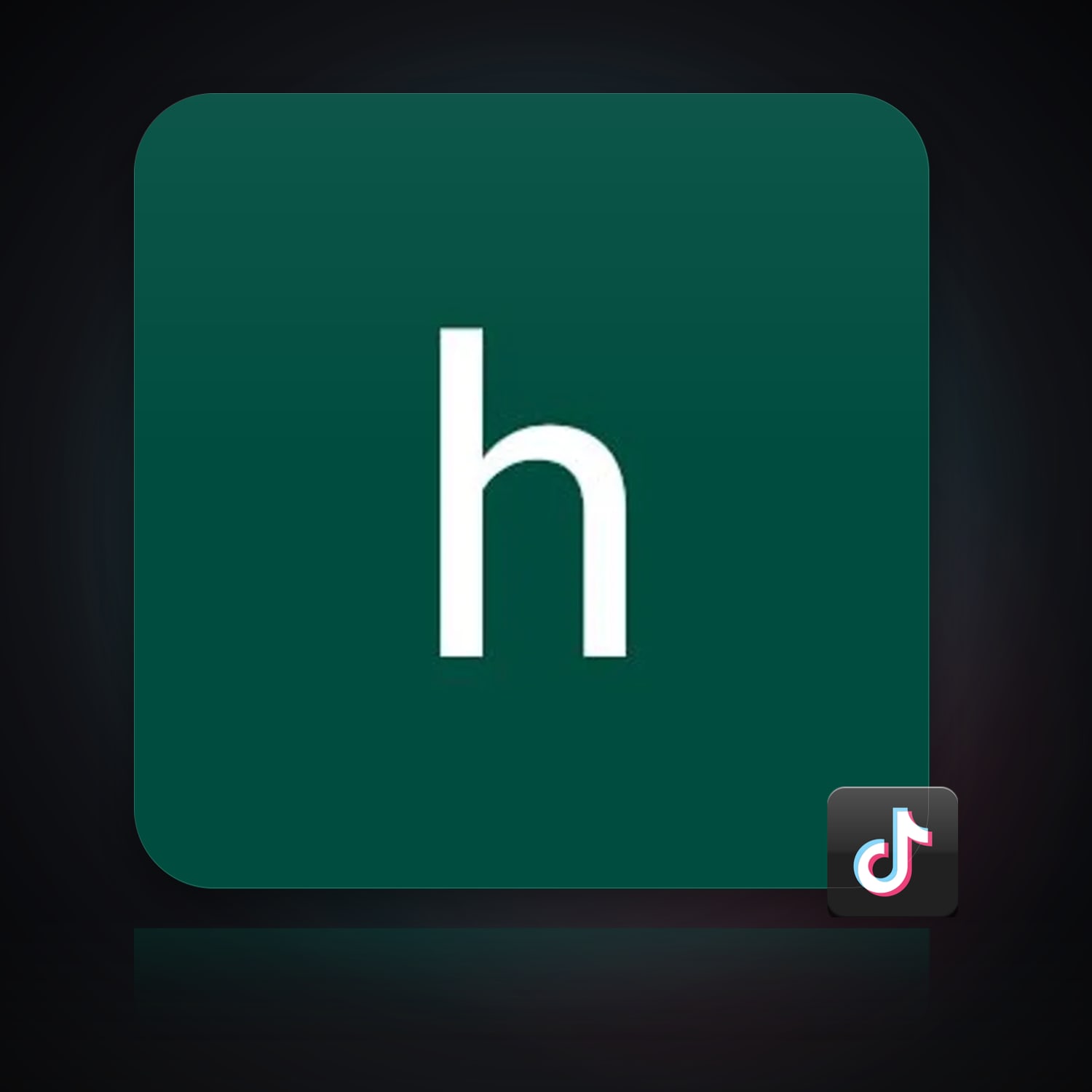 TikTok Account — HabibiAccounts