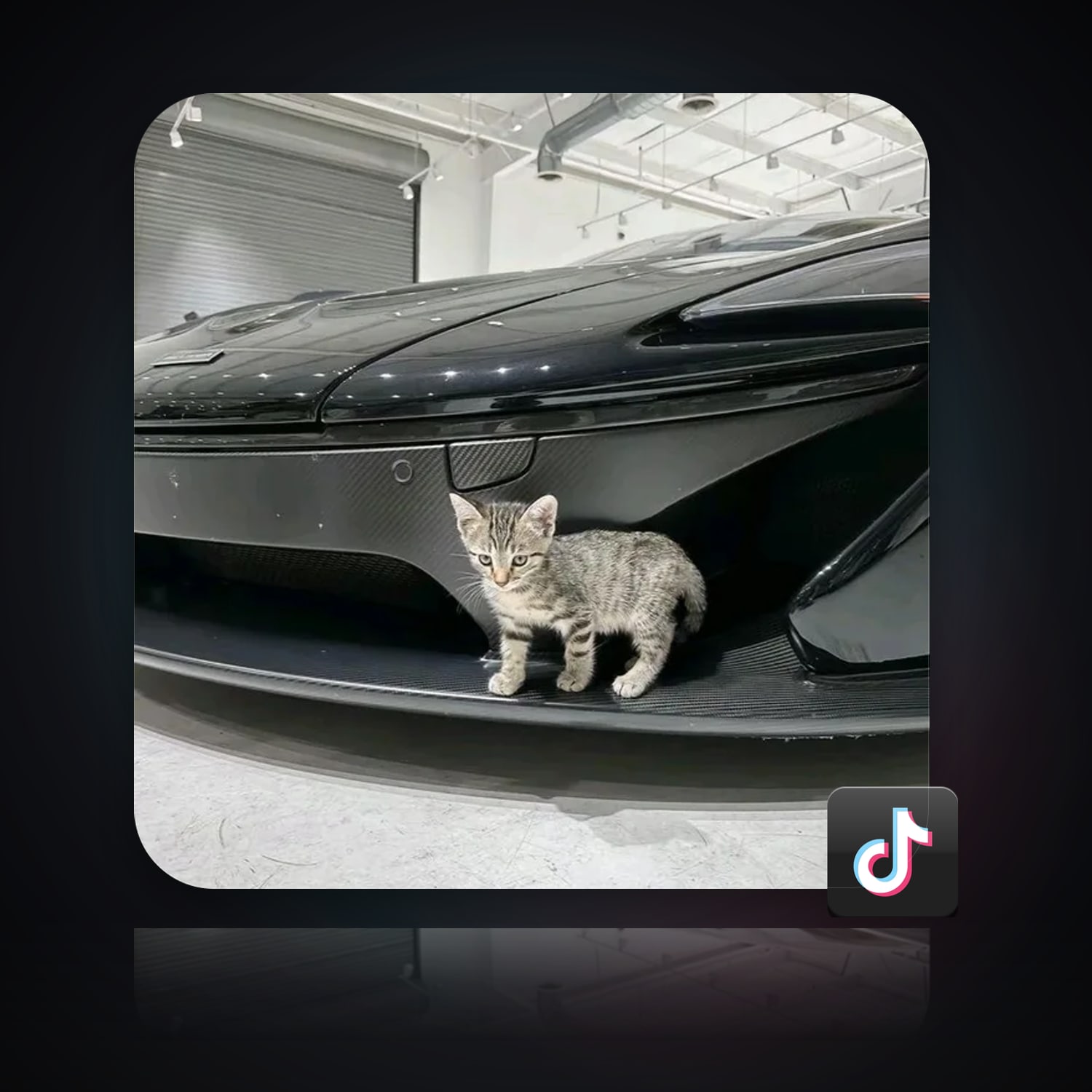 TikTok | 3 Followers — HabibiAccounts