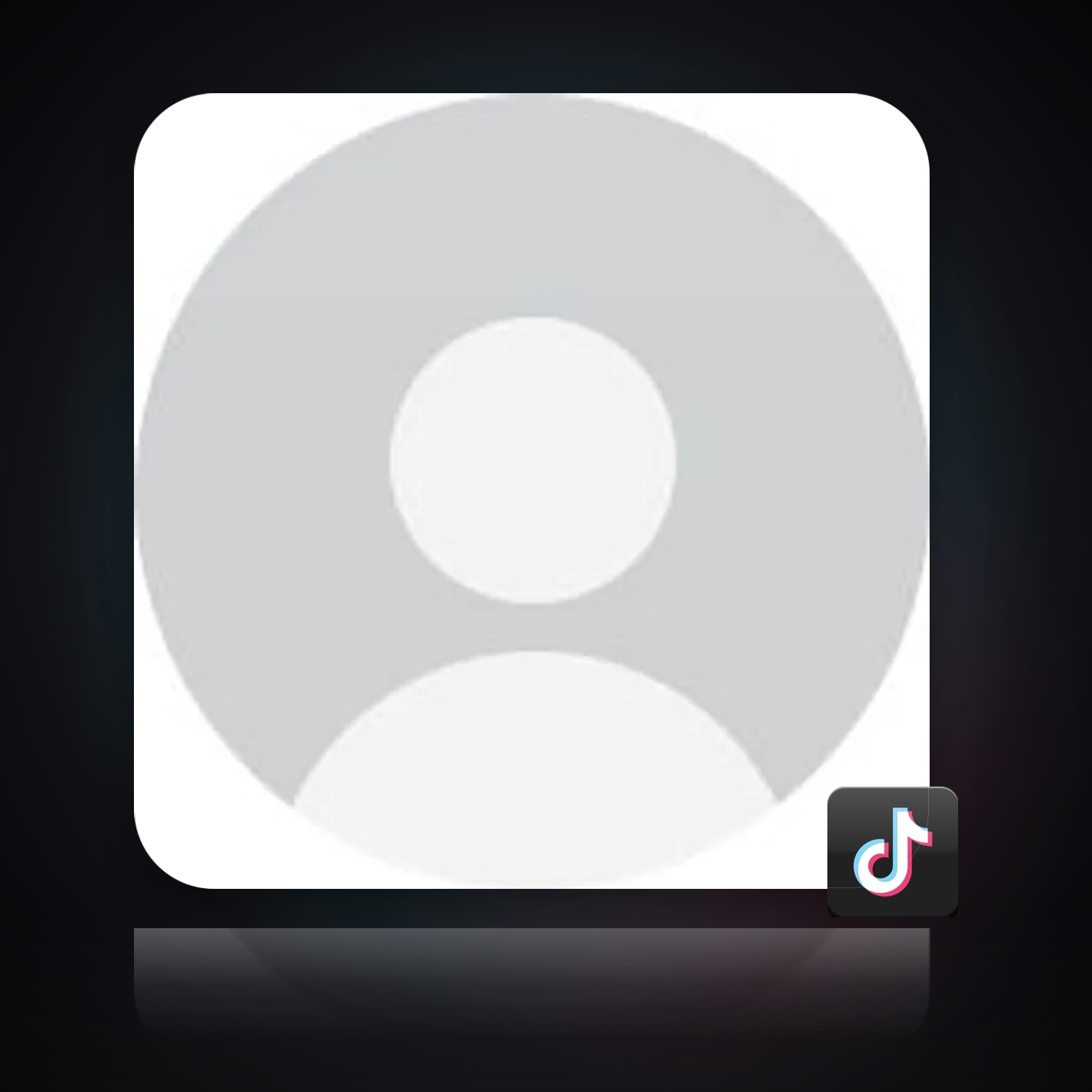 TikTok Account — HabibiAccounts