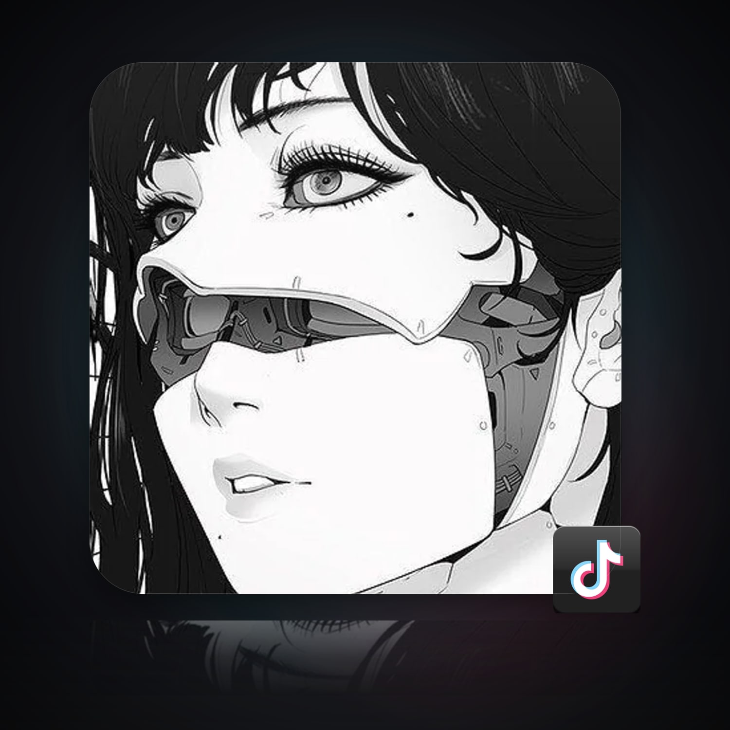 TikTok Account — HabibiAccounts
