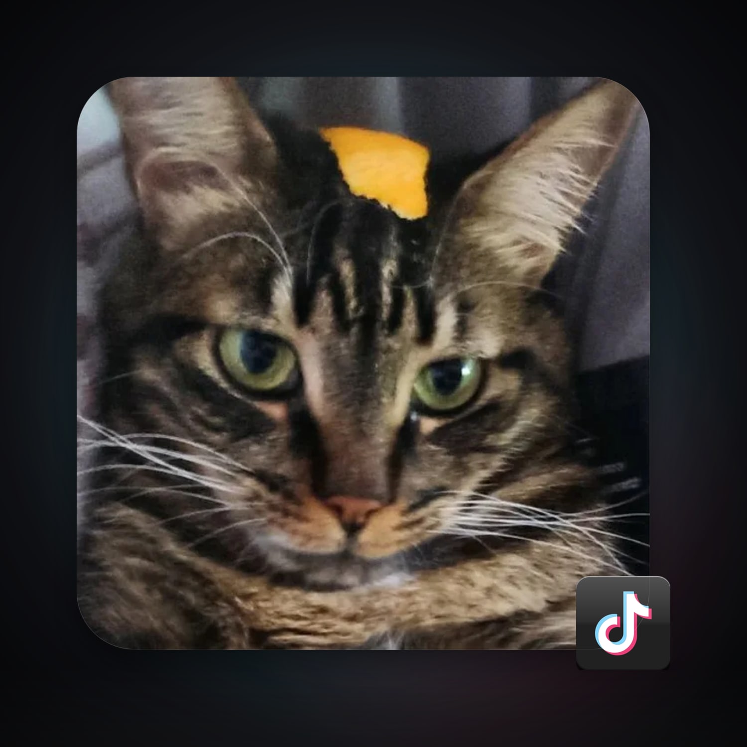 TikTok | 17 Followers — HabibiAccounts