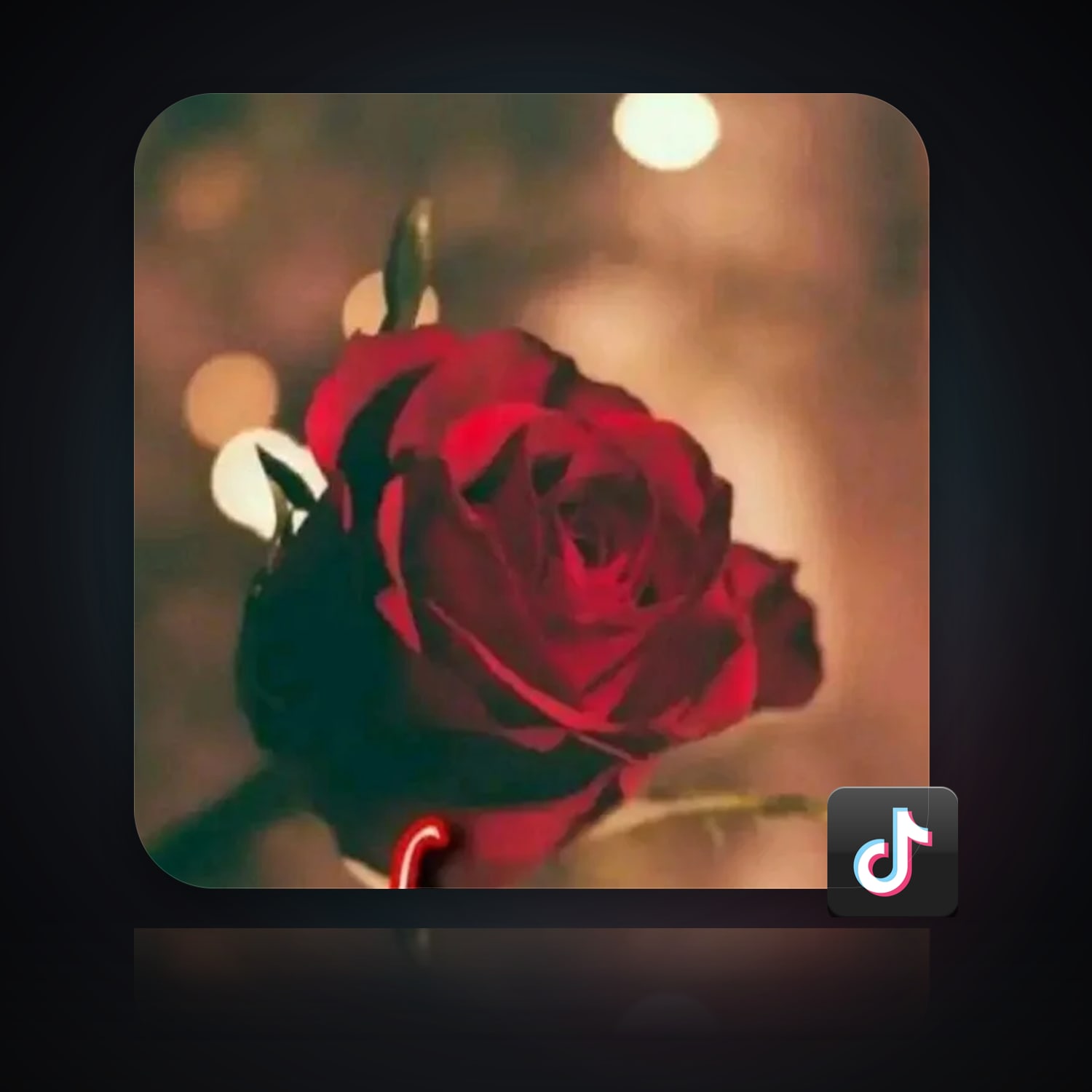 TikTok | 2 Followers — HabibiAccounts