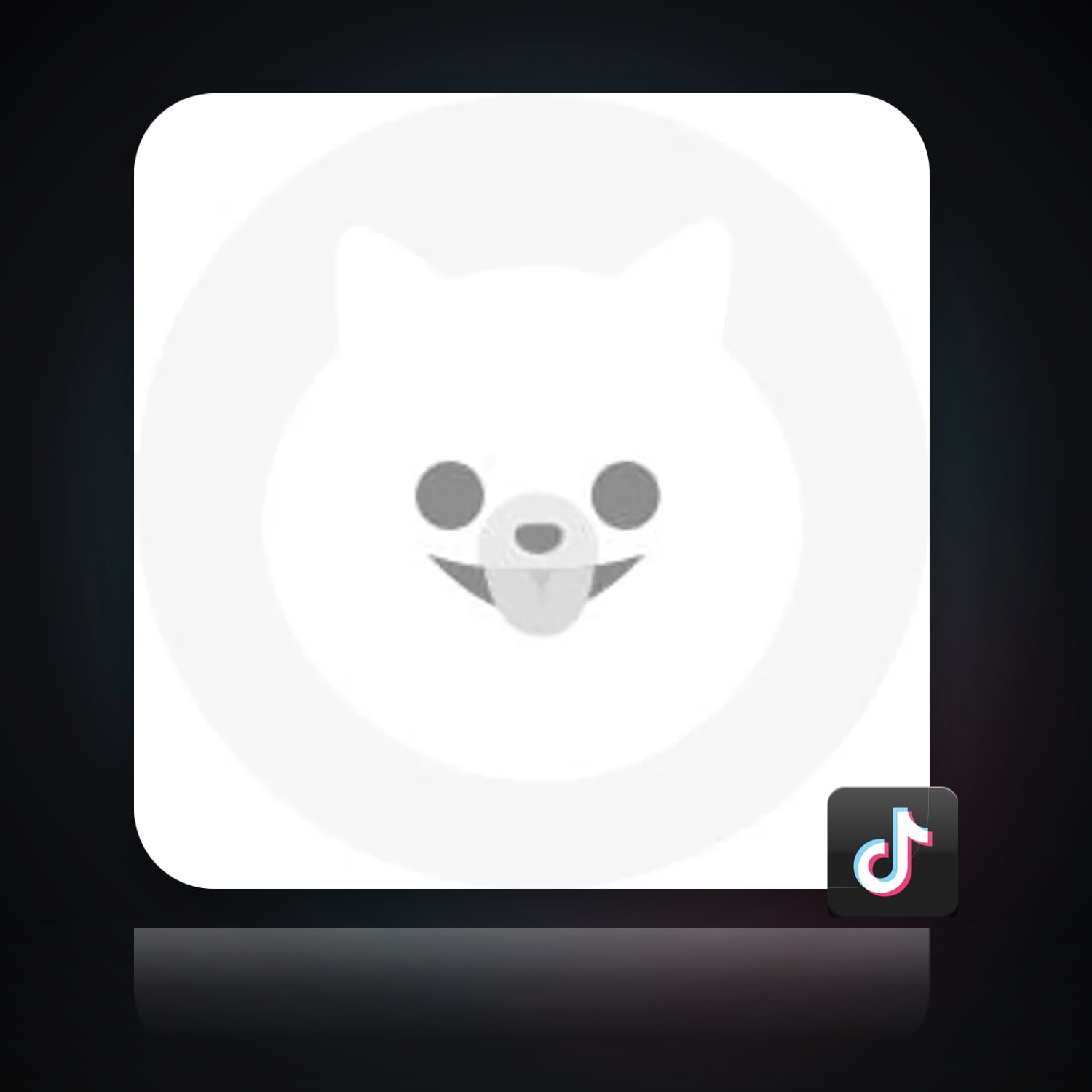 TikTok | 5 Followers — HabibiAccounts