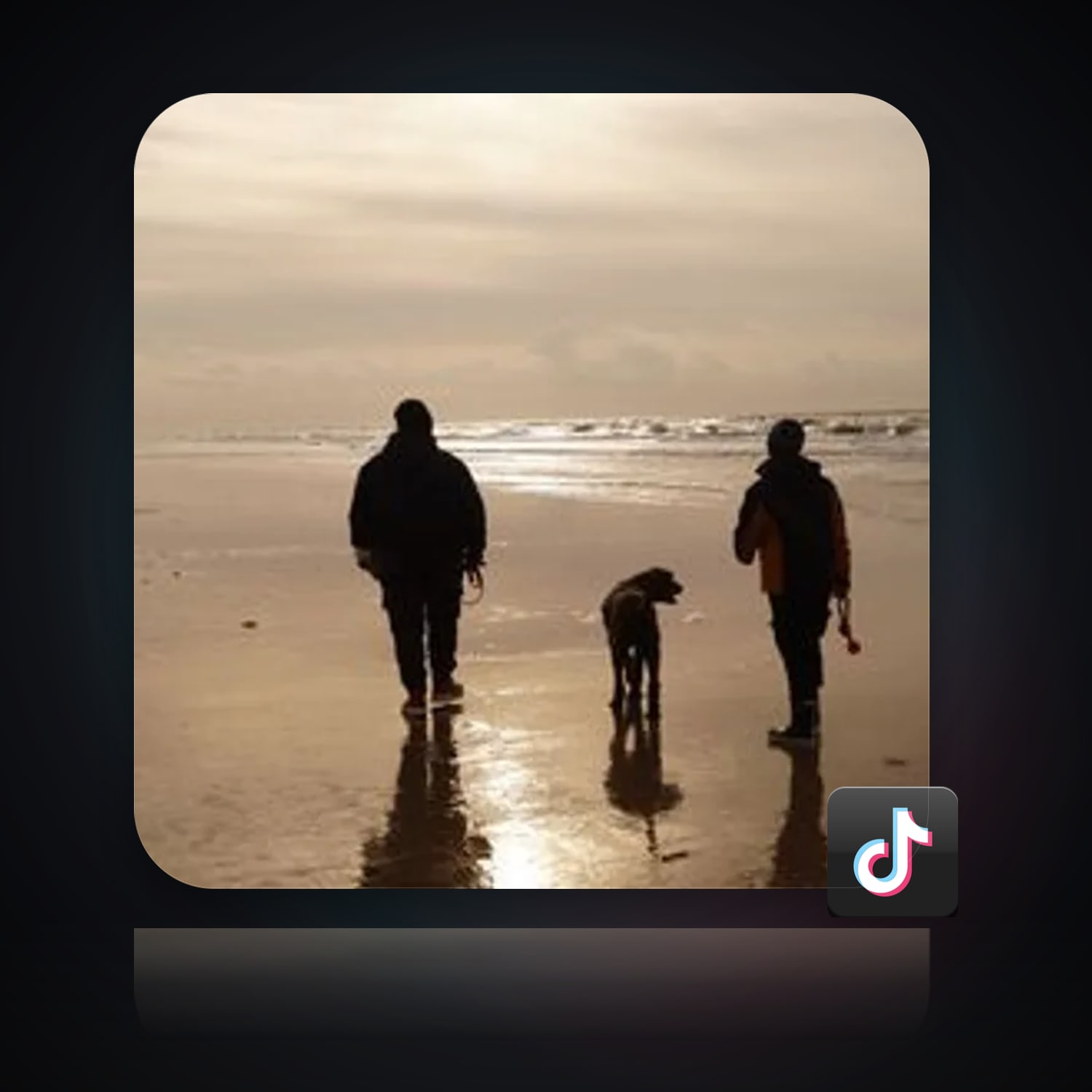 TikTok | 66 Followers — HabibiAccounts