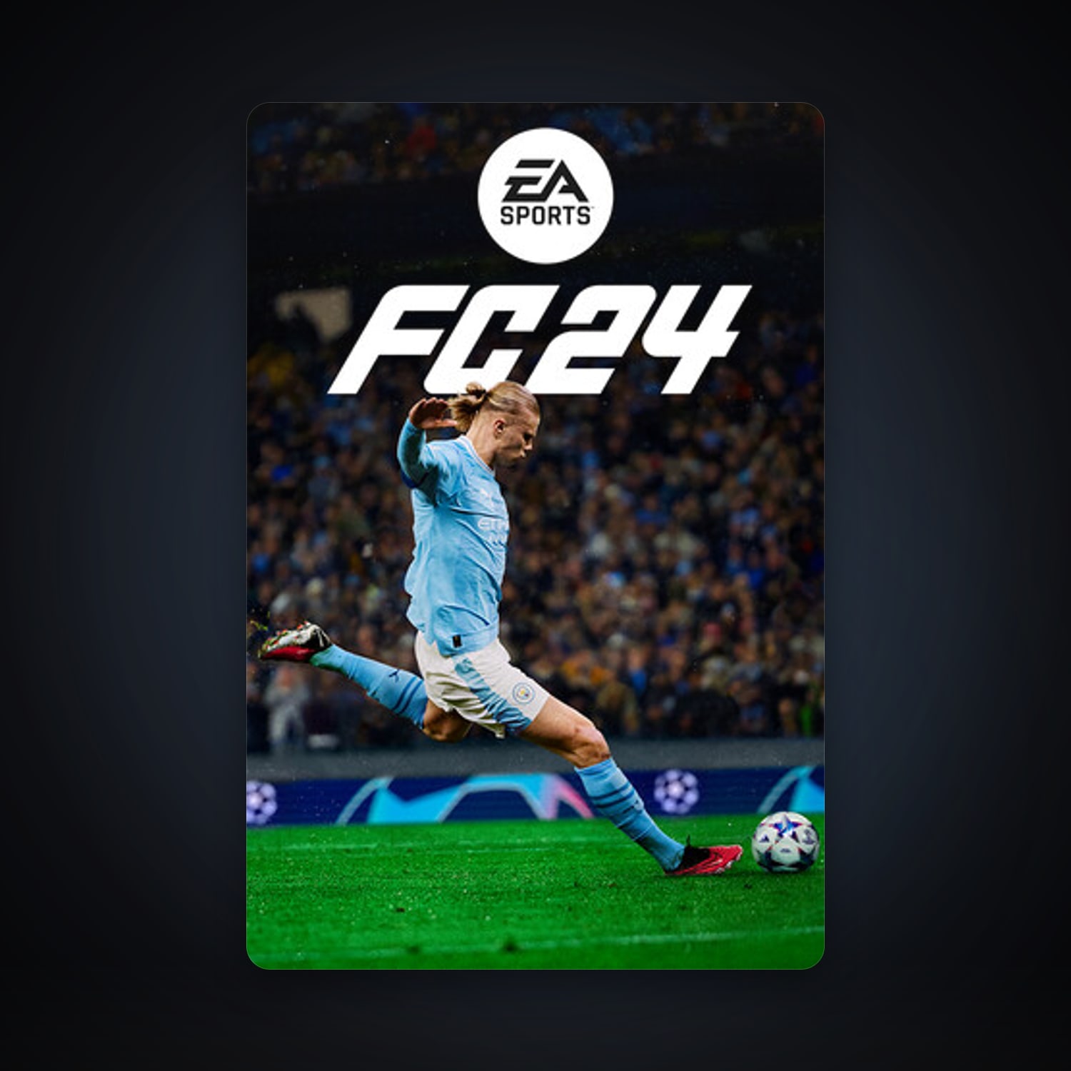 FIFA 24 — HabibiAccounts