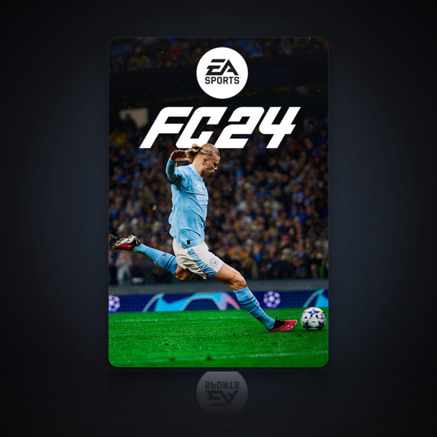 FIFA 24 — HabibiAccounts